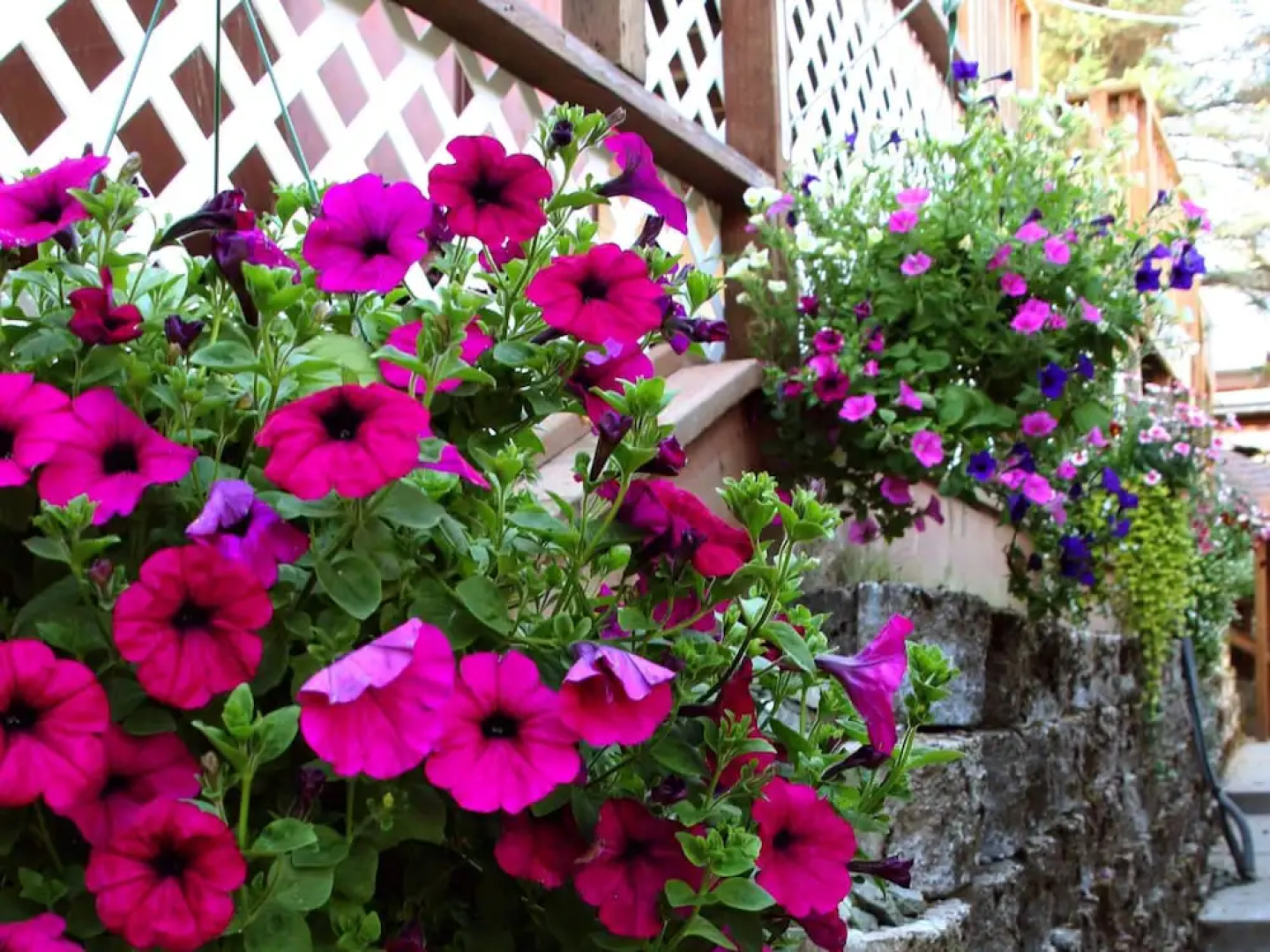 Beachside Villa Suites and Vacation Rentals