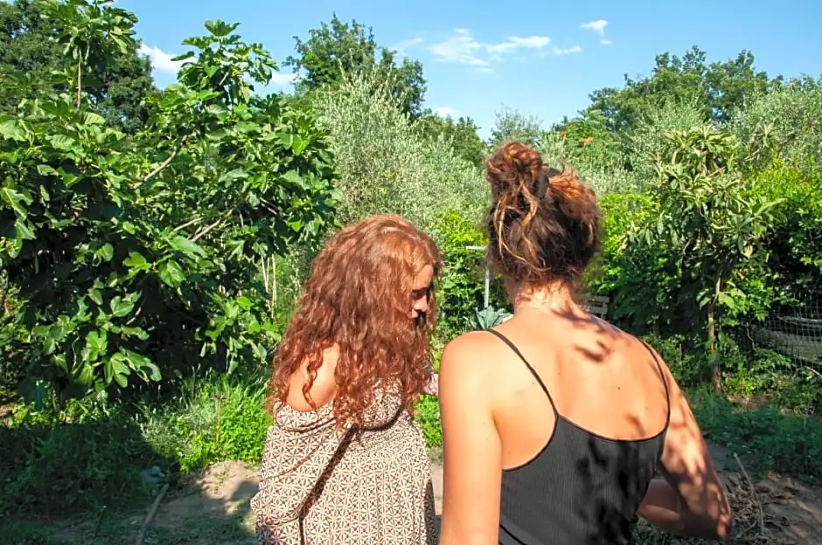 Centro Studi Nuovarmonia