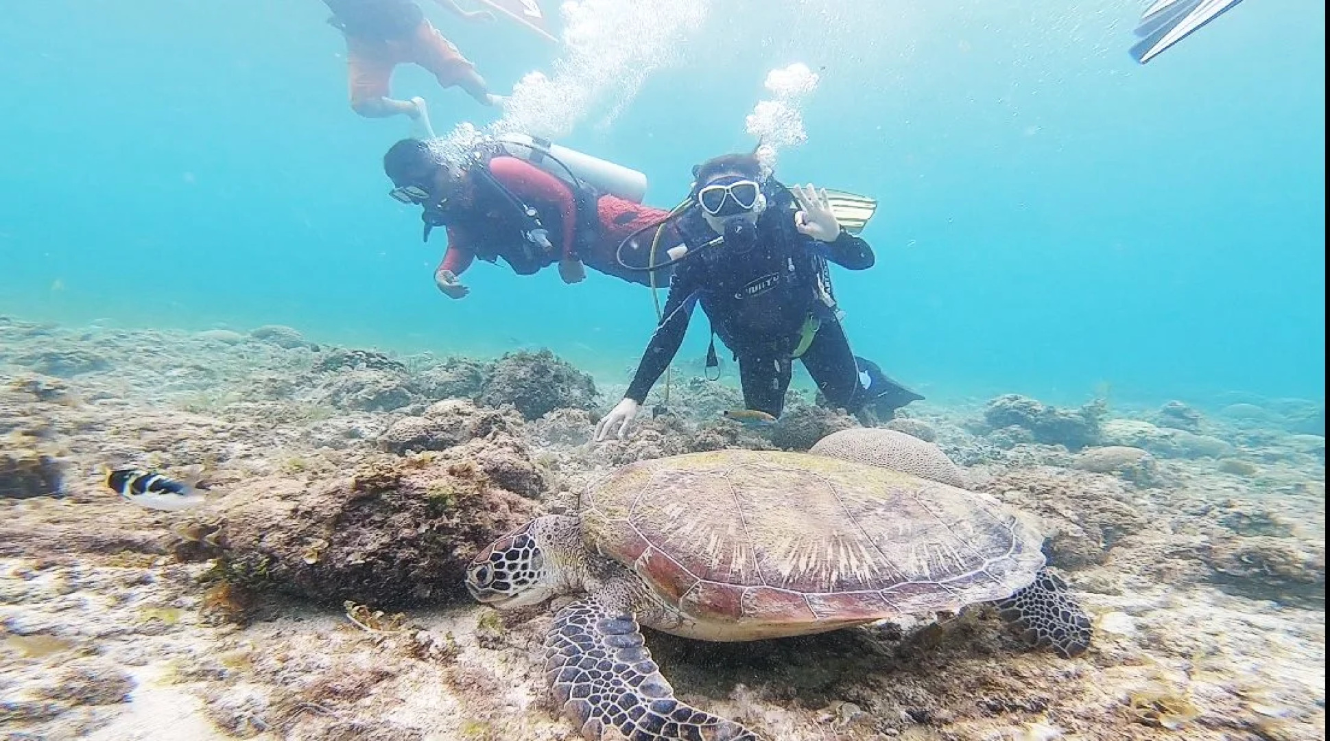 Pescadores Seaview Suites Moalboal