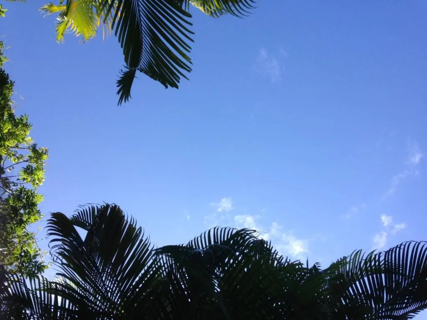 Ryan's Rest Boutique Accommodation