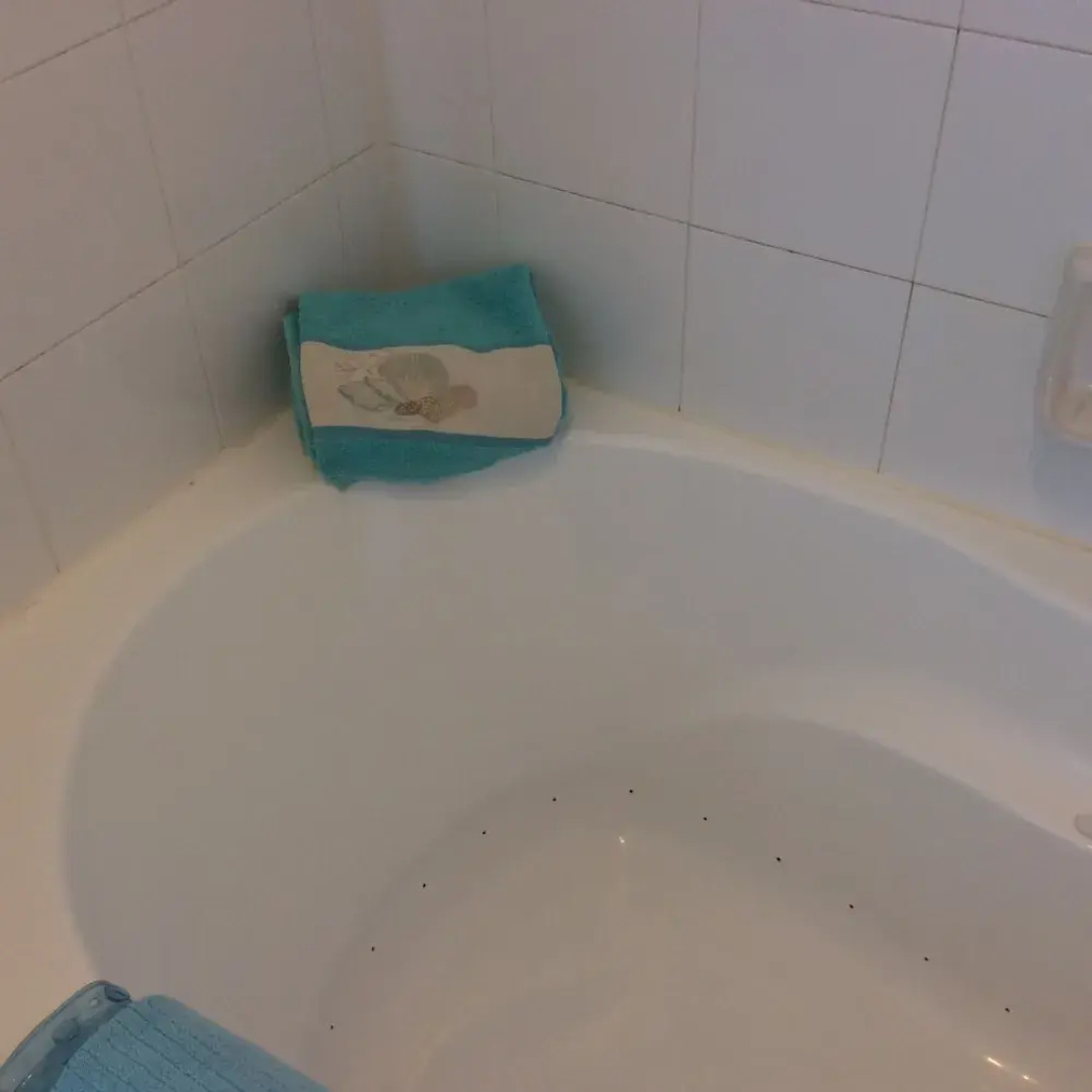Moonlight Beach Suites