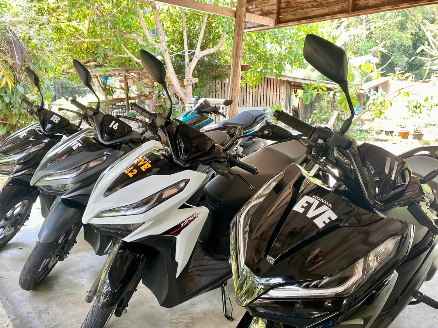 Eve house koh kood