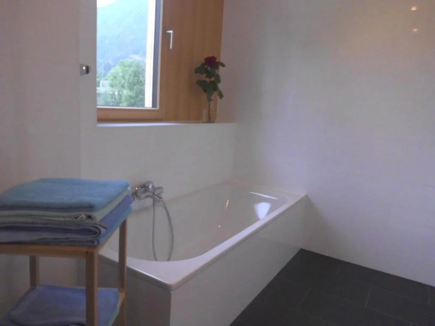 Appartement Lässer Monika