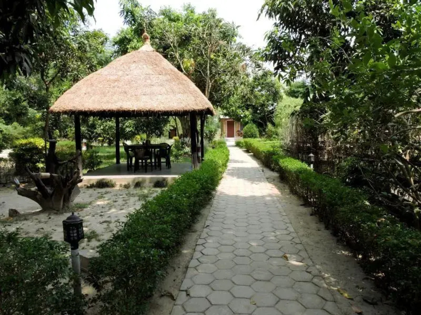 Jungle Heaven Hotel and Cottage