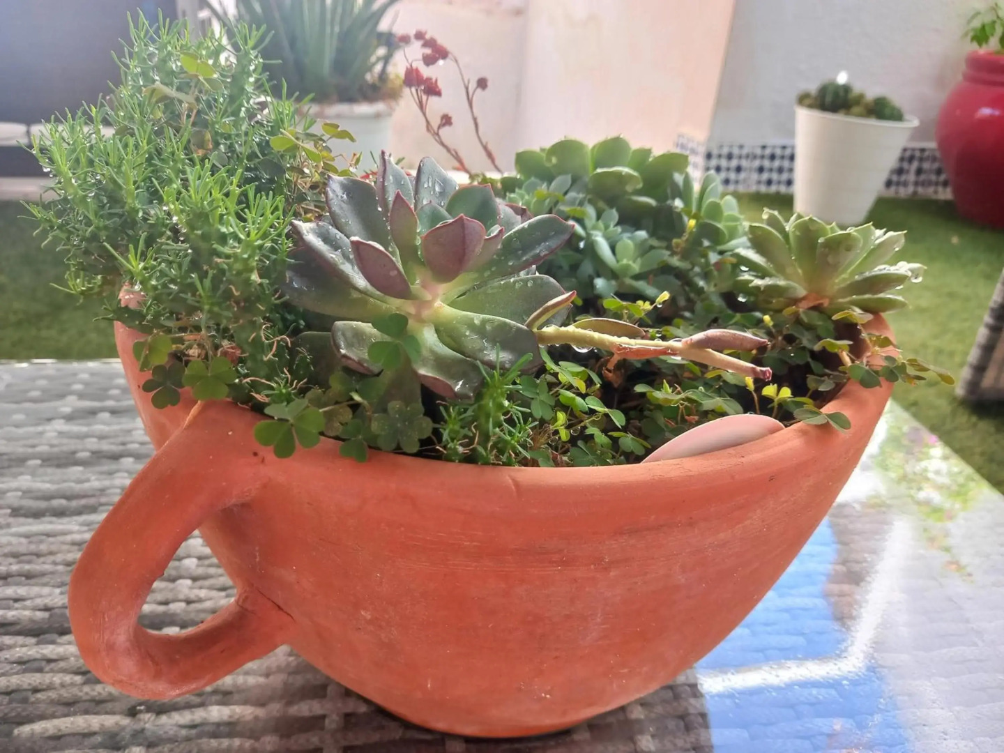 Tradicional Guesthouse Jazmines Mozarabes Casco histórico