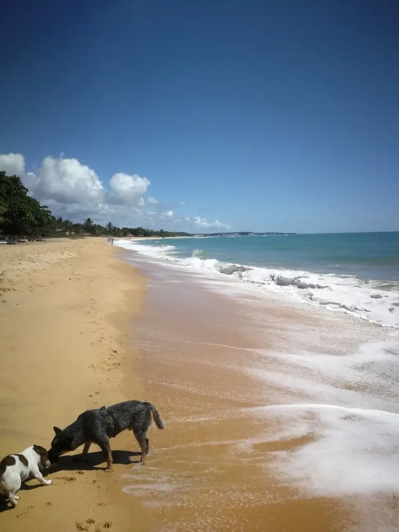 Pousada Da Praia de Caraíva