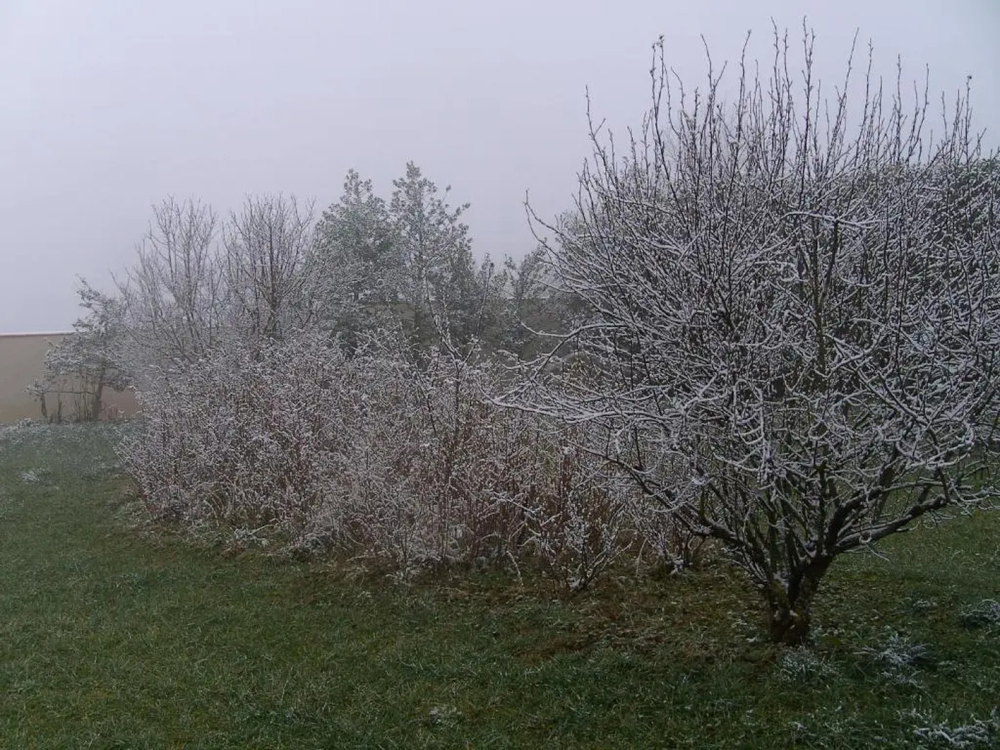 Cellier de la Fontaine
