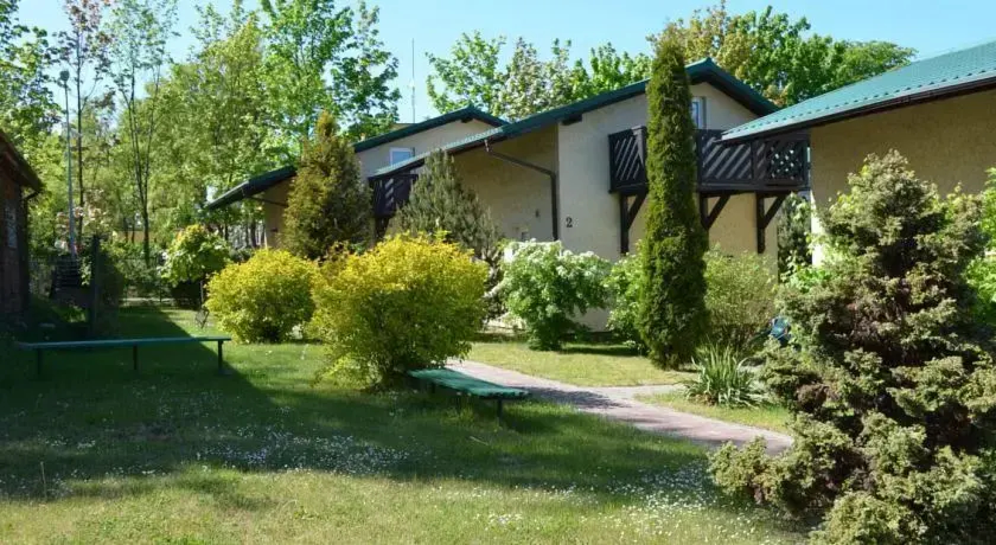 Róża Wiatrów