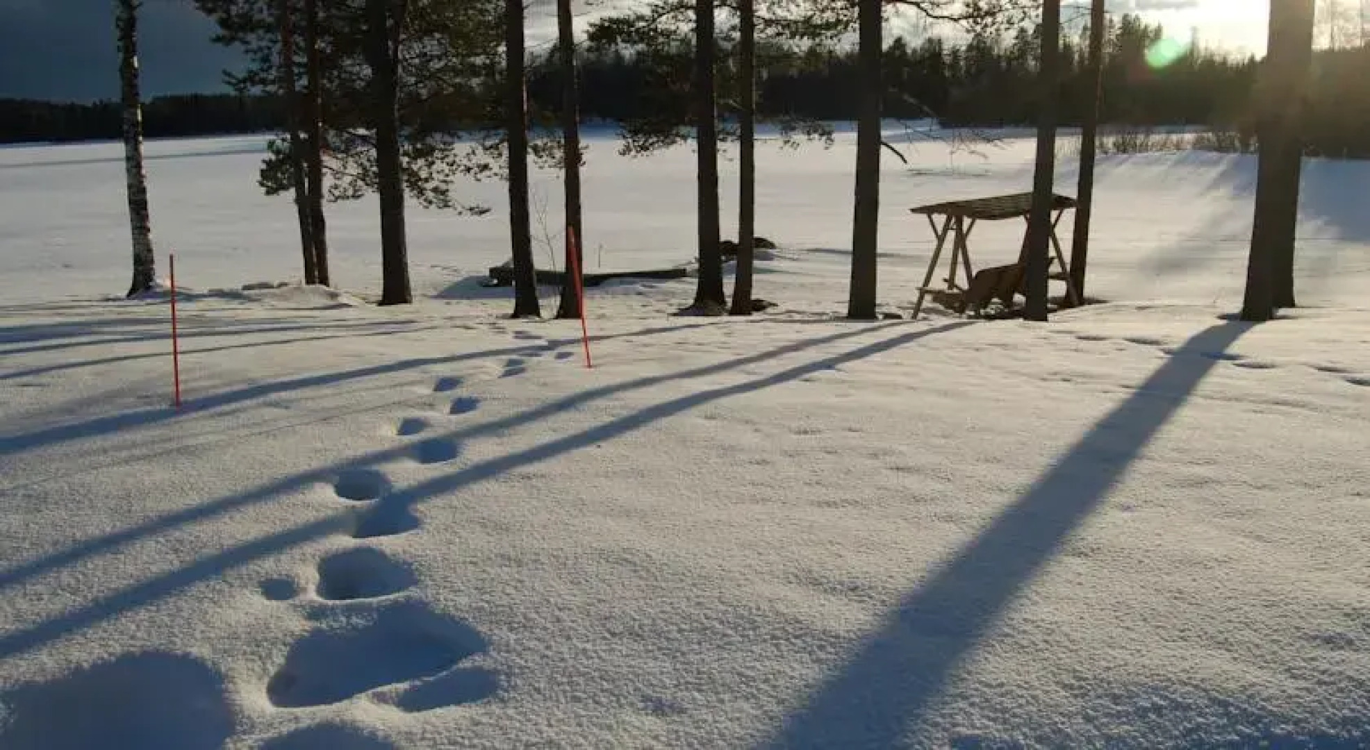 Holiday Homes Vipuniementie