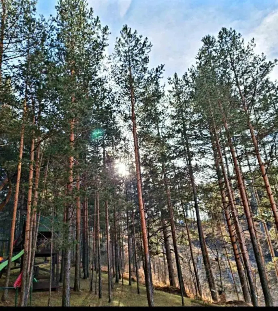 Lux apartman Zlatibor S14 - vila Peković