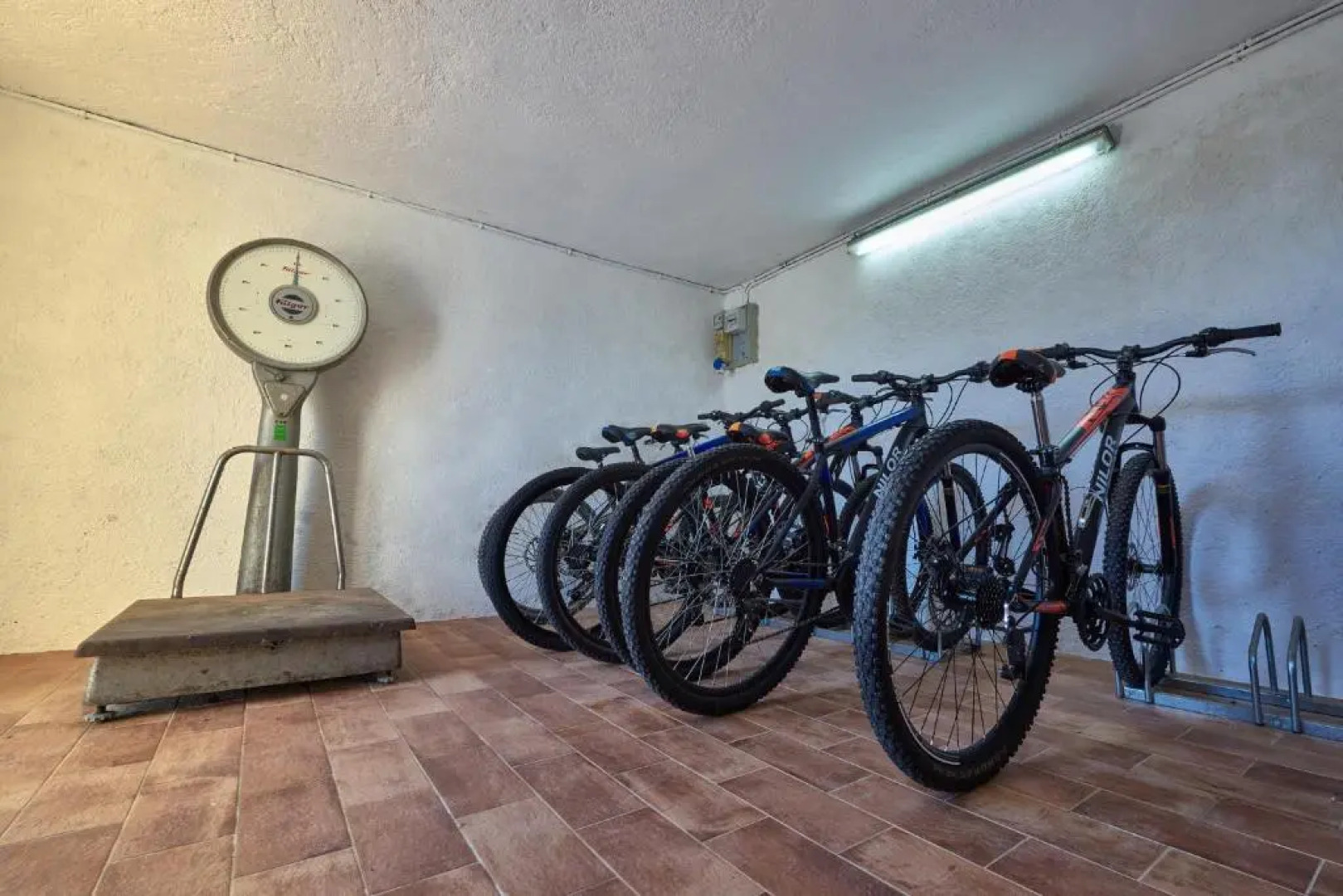 Agriturismo Tesorino