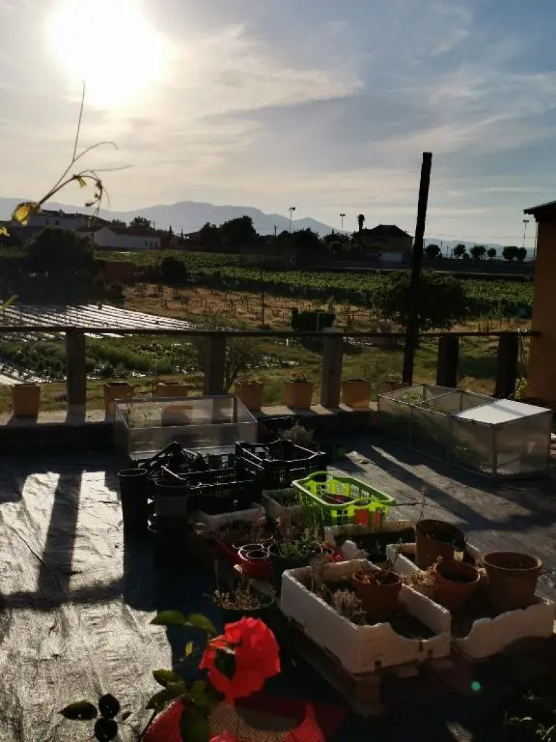 Casa da Vinha Grande