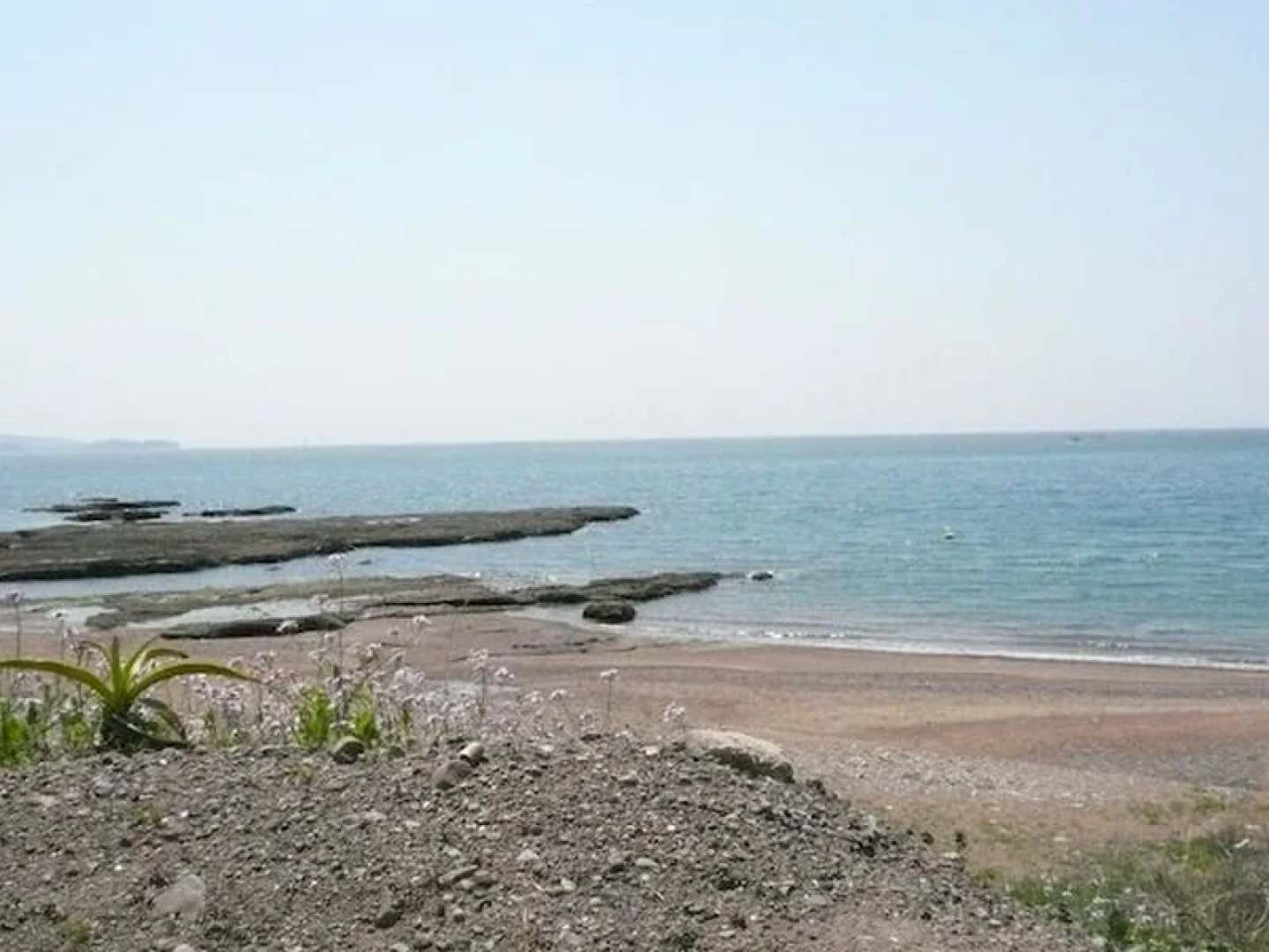 Pension Sirogisu