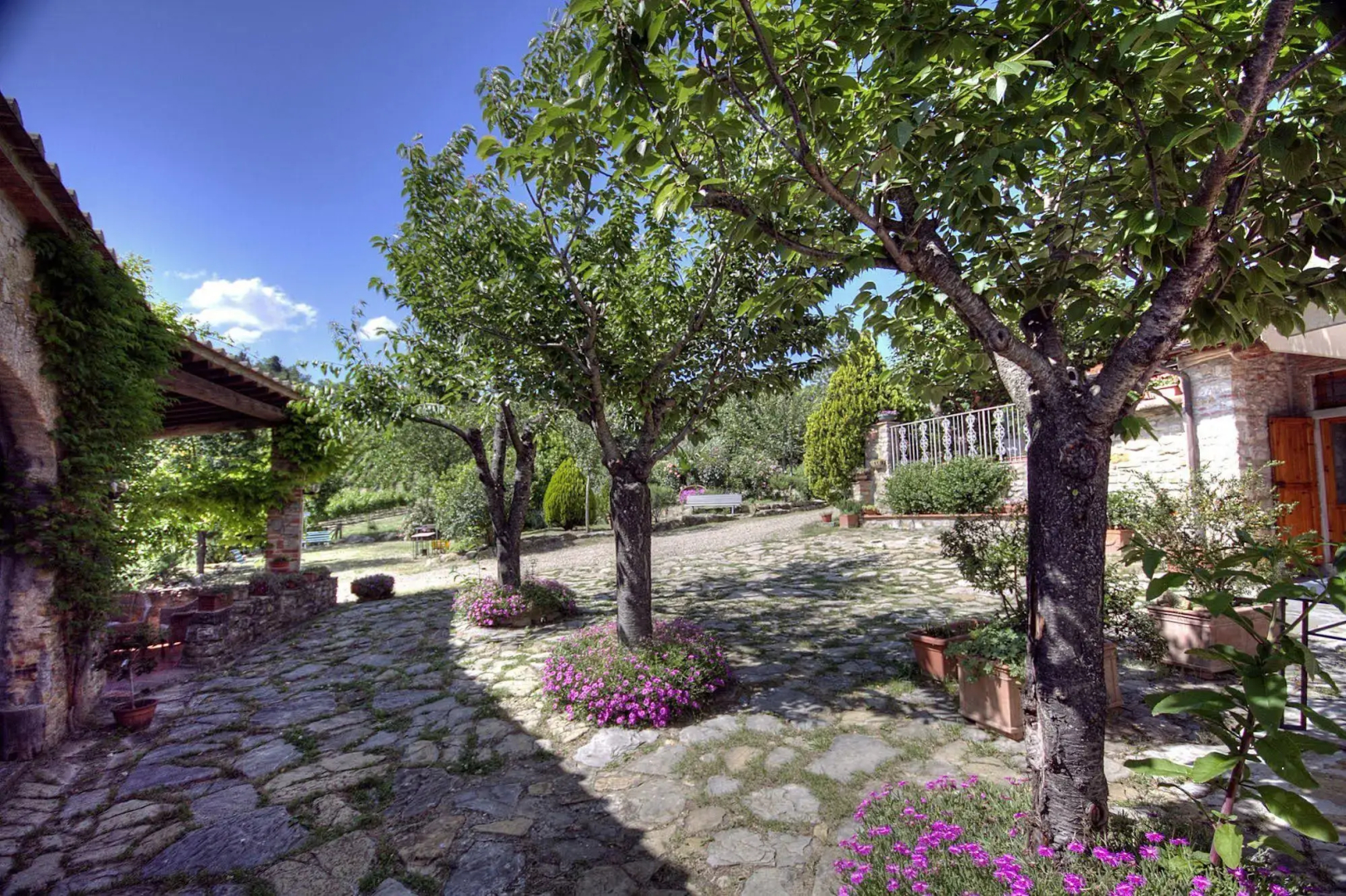 Podere Vignola