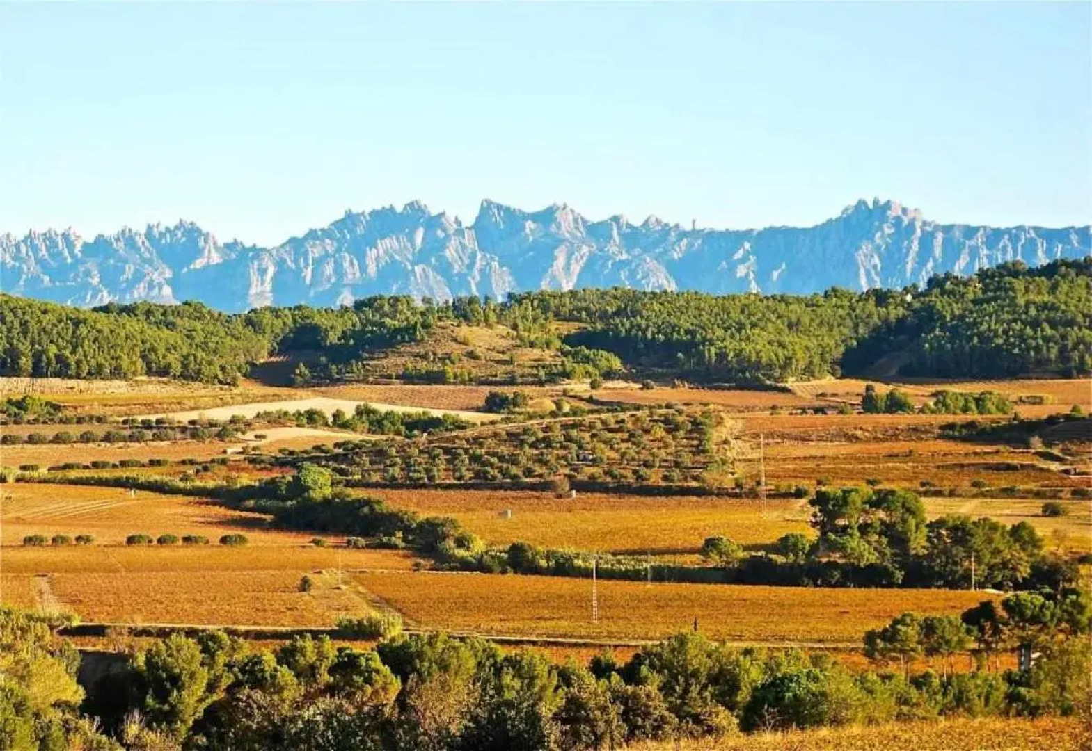 Hotel rural HD Riudebitlles - art i allotjament