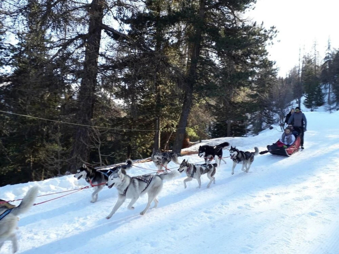 Apartment With one Bedroom in Risoul, With Wonderful Mountain View, Shared Pool, Furnished Balcony