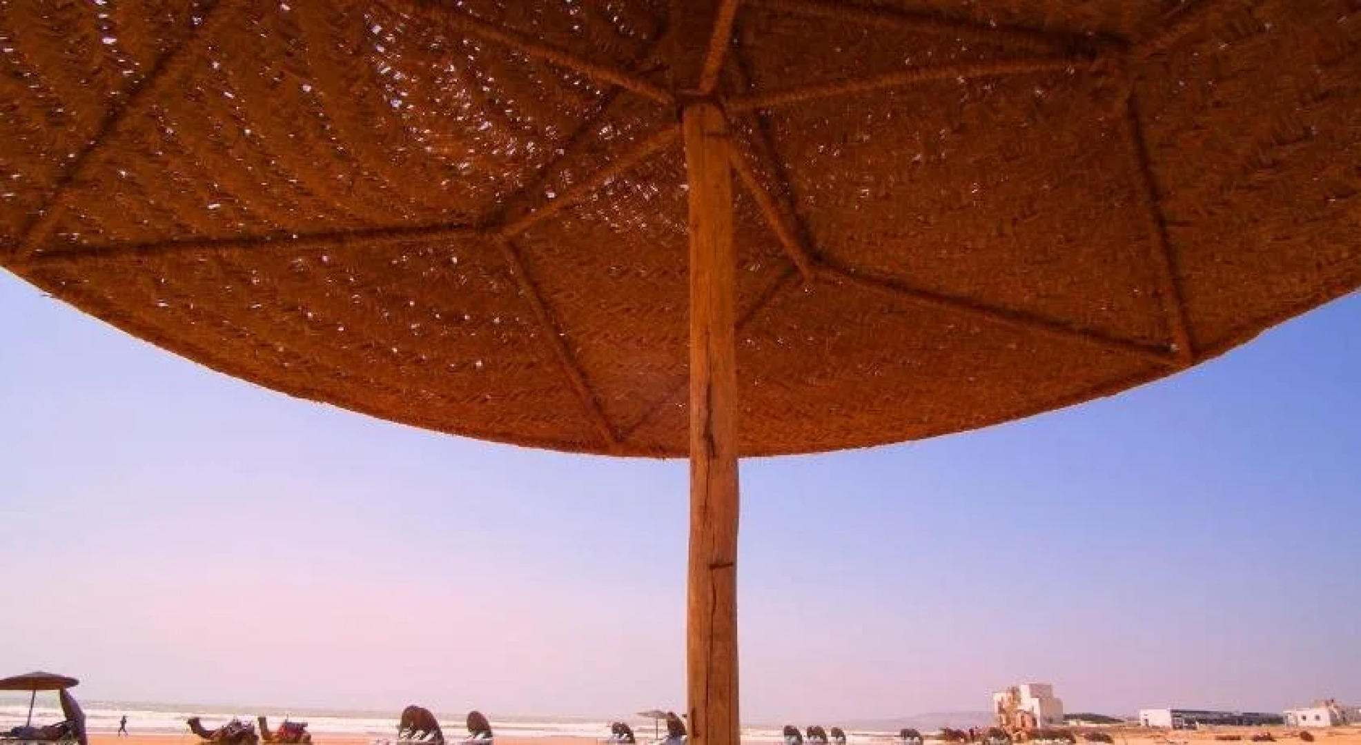 Sidi Kaouki Beach Hostel