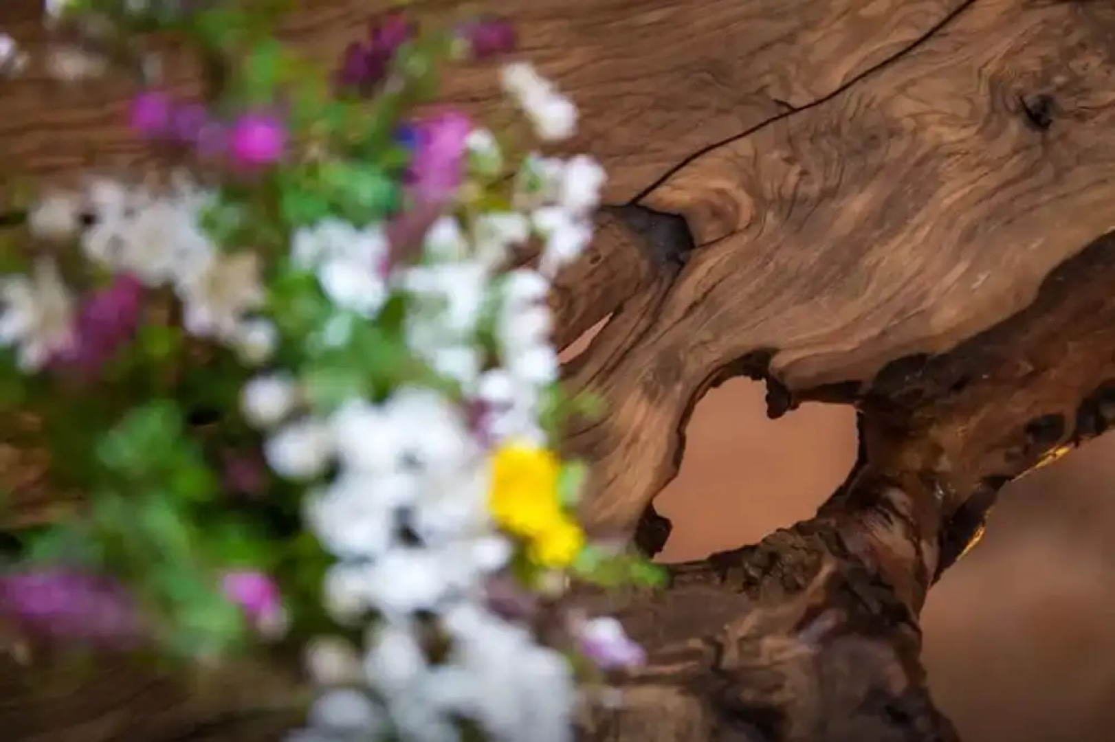 Trulli 18 Cinquantanove