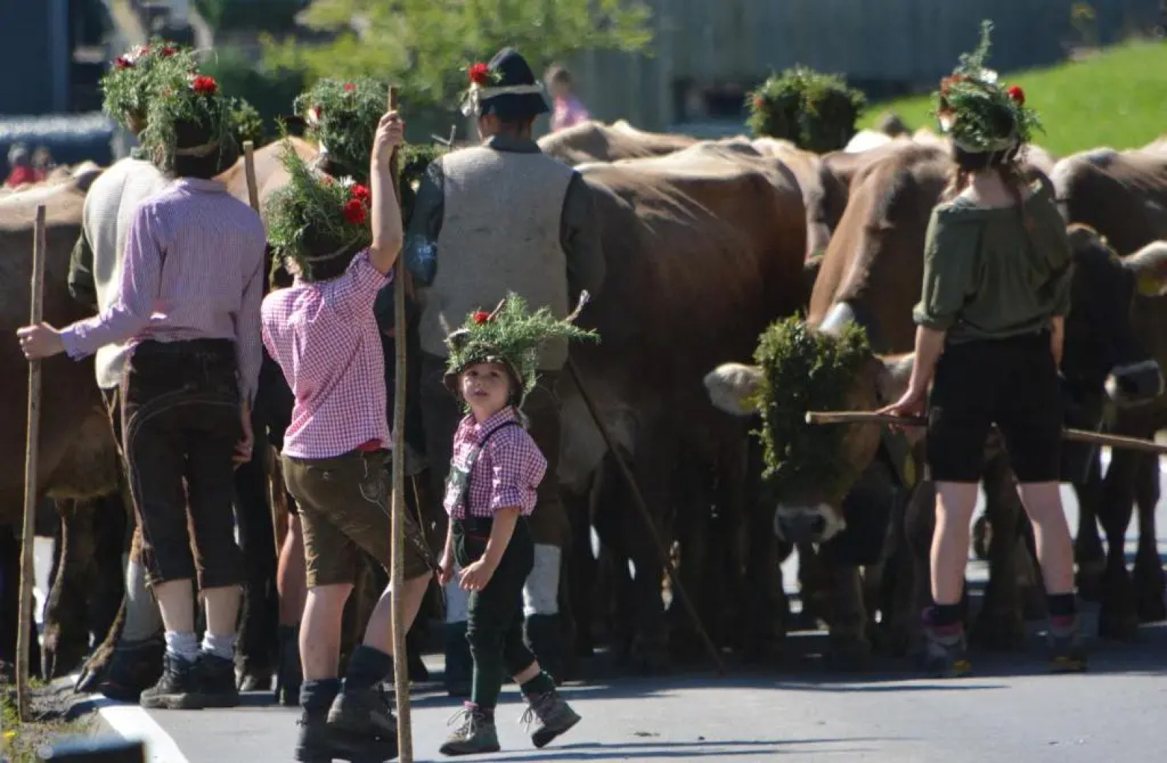Apartments Wälderhaus