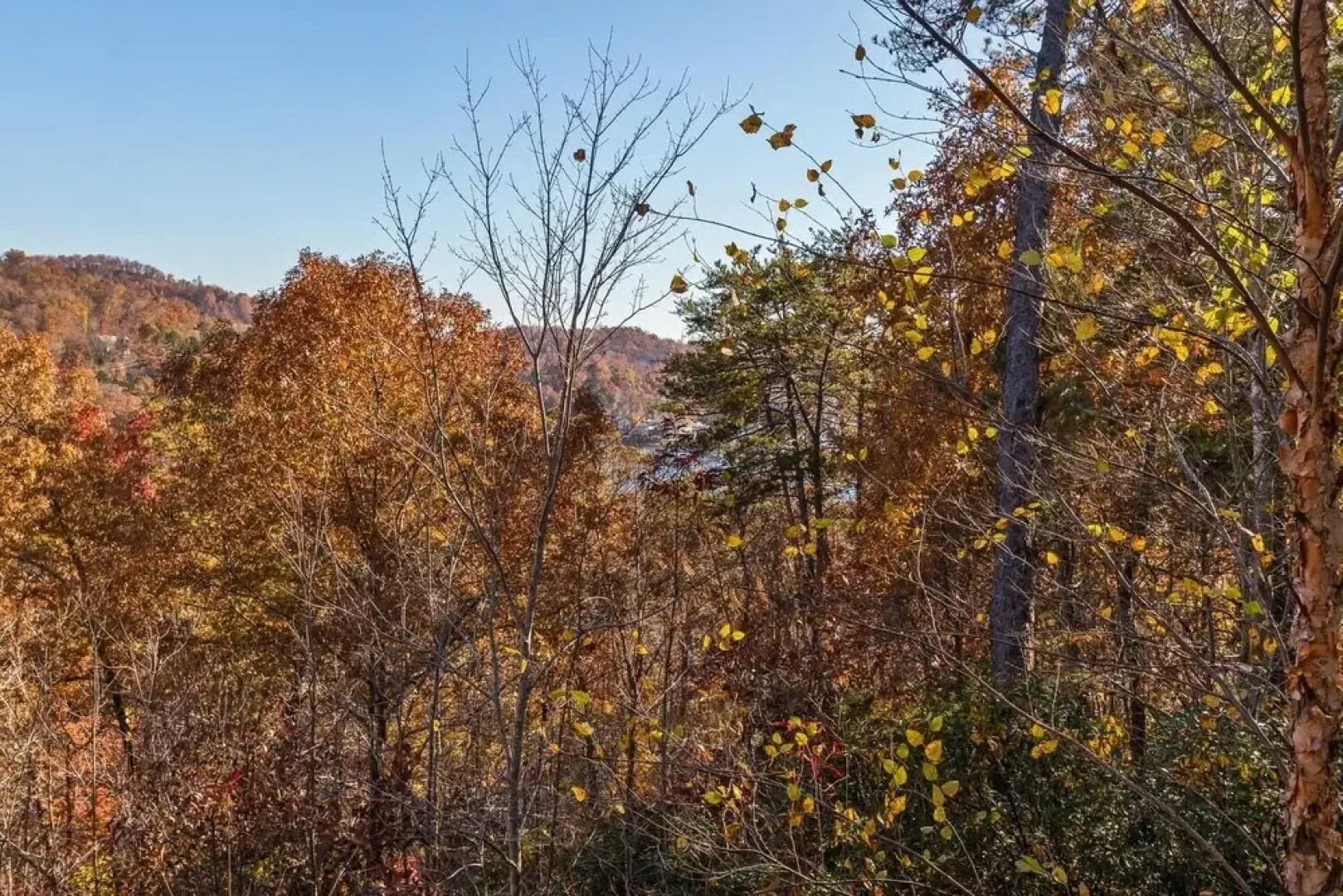 Rumbling Bald Resort Home In Lake Lure - Wifi - Community Beach, Pool, Golf And More 5 Bedroom Home by Sunscape Property Management