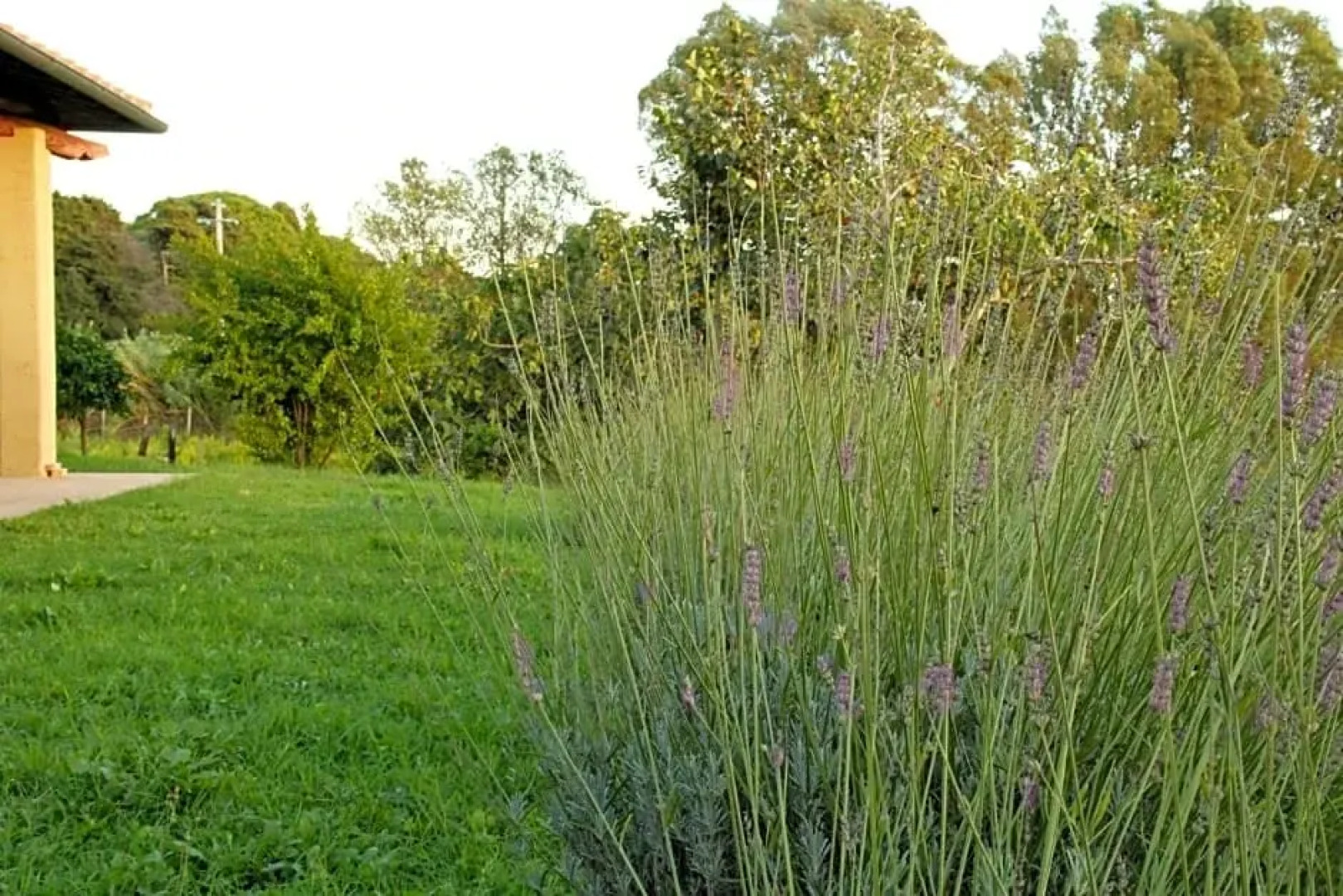 Al Vecchio Fontanile B&B