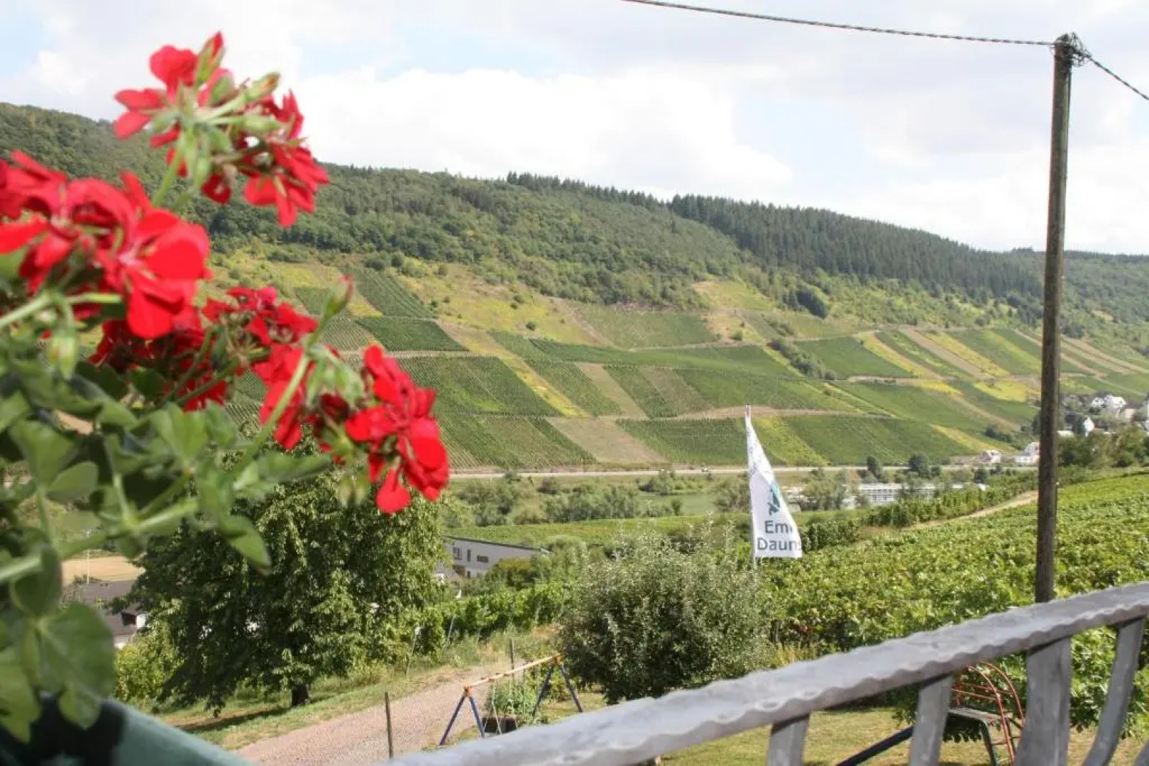 Weingut-Brennerei-Gästehaus Emil Dauns