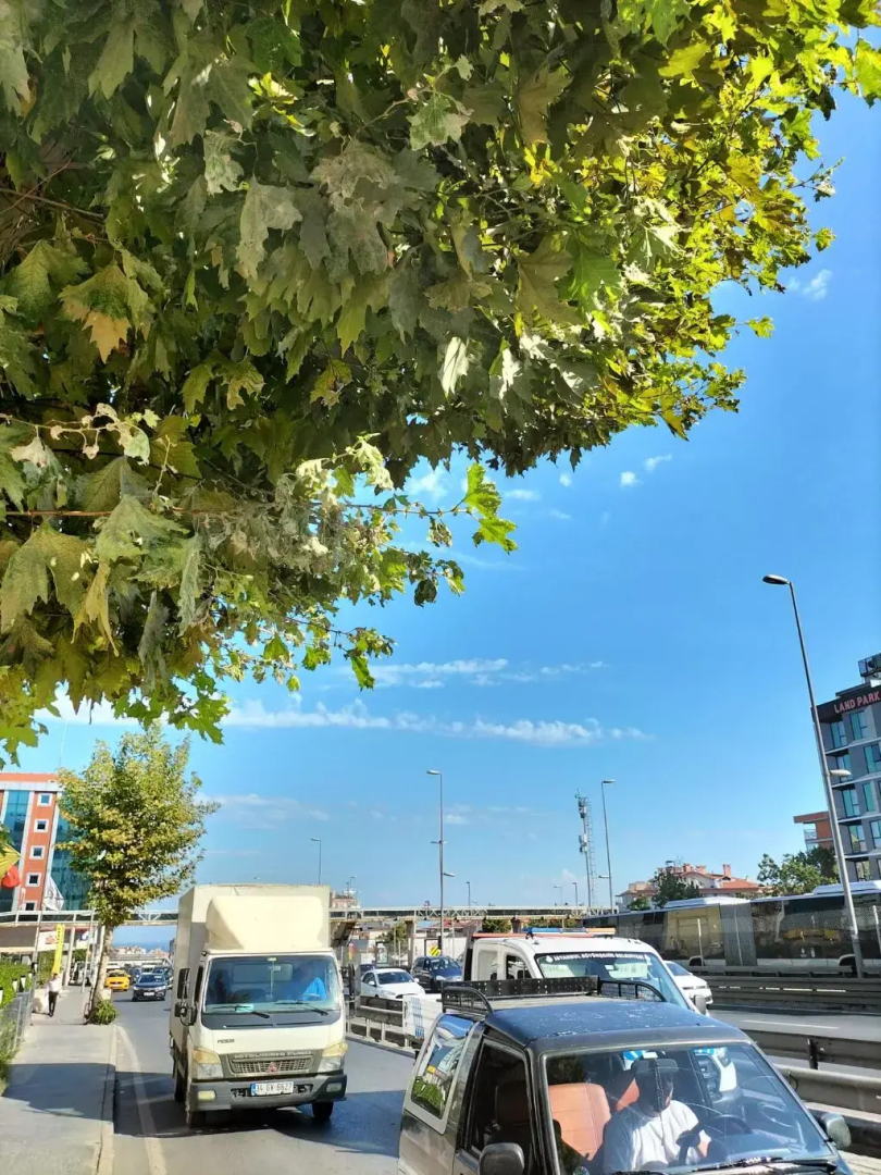 Istanbul Dedem Hotel