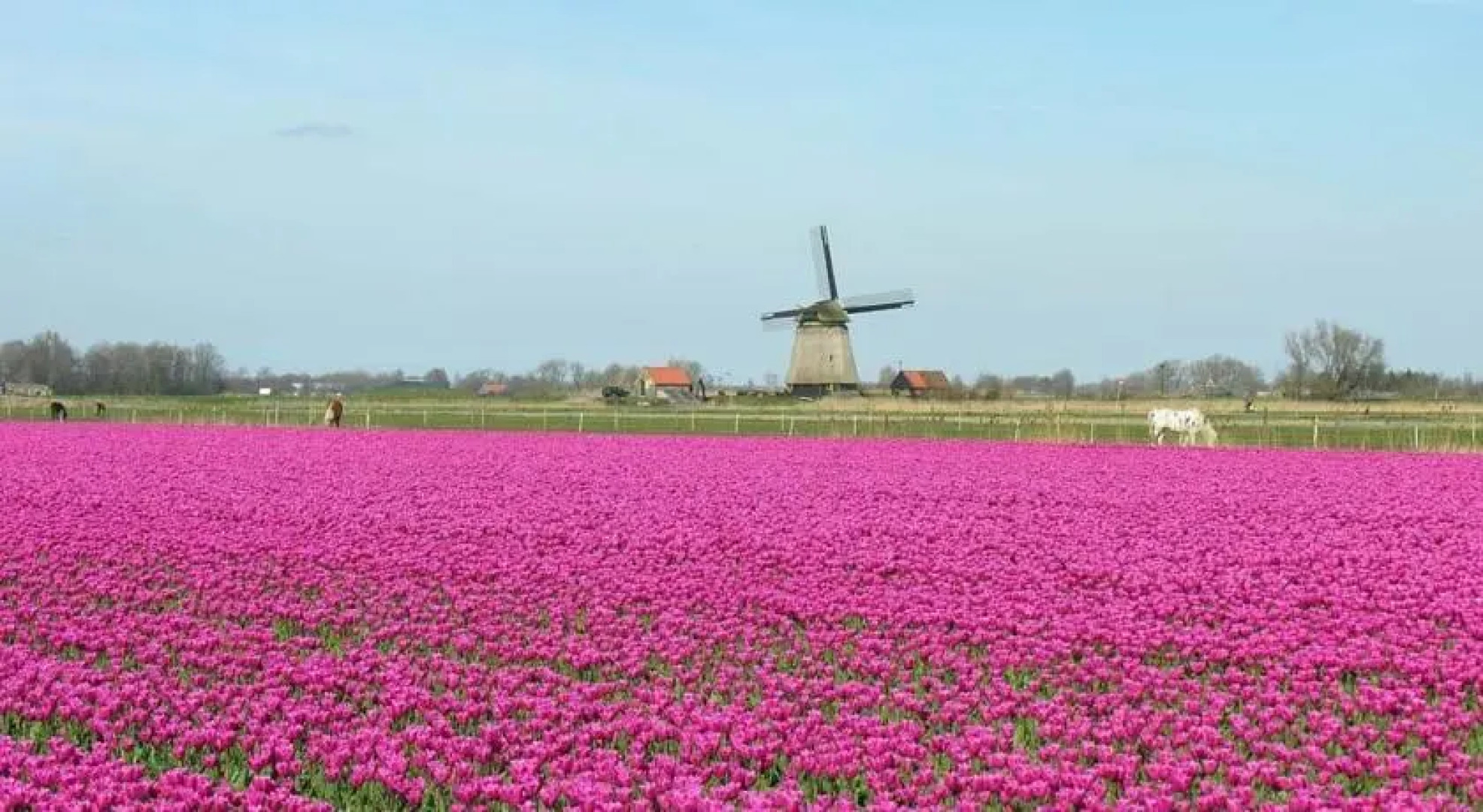 Vakantiedorp Het Grootslag