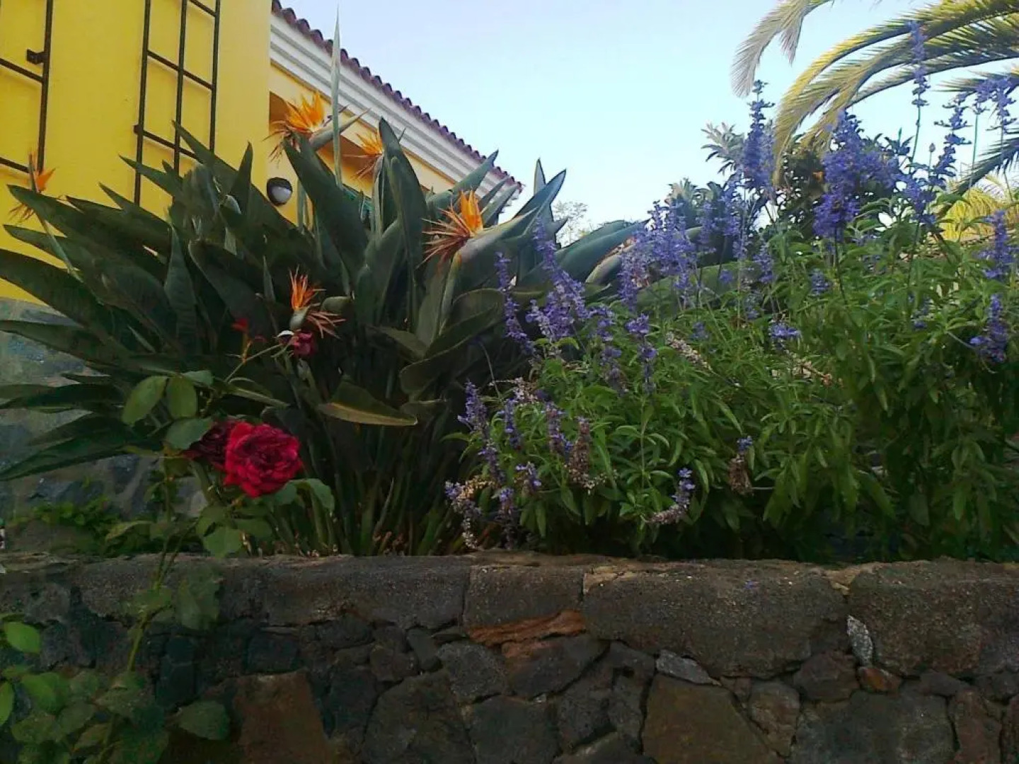 Apartamentos Villa María