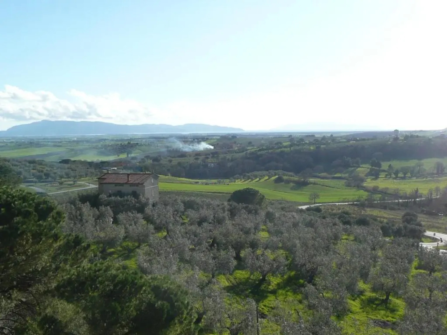 Artemisia negli ulivi B&B