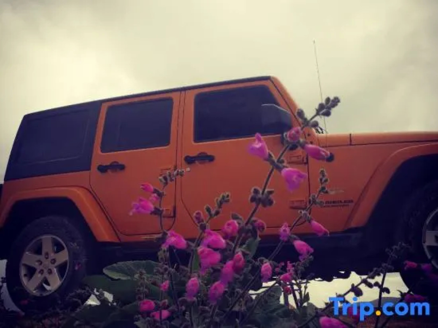 Tseten Wangmo Resort