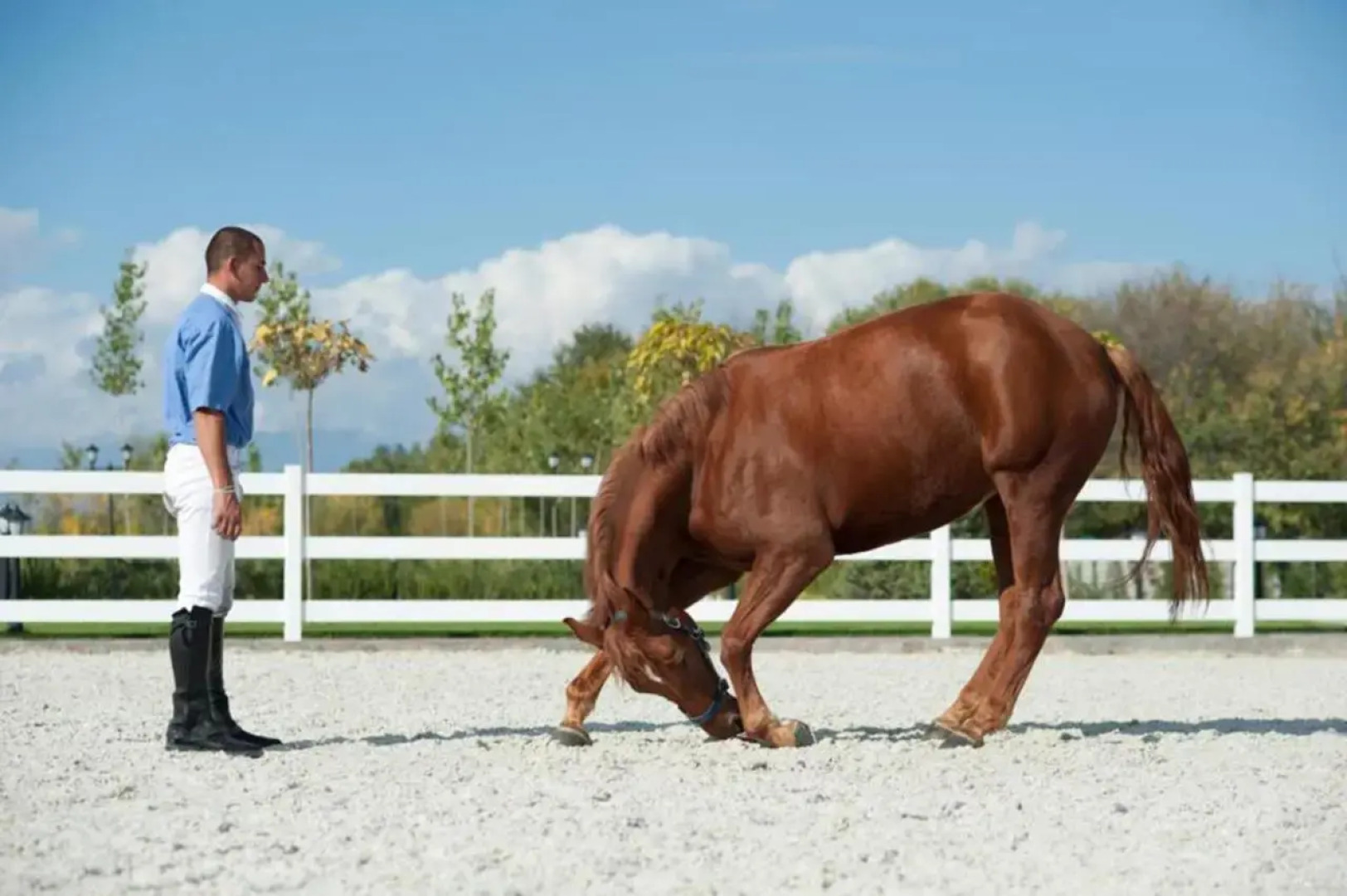 Boutique Complex Trakiets