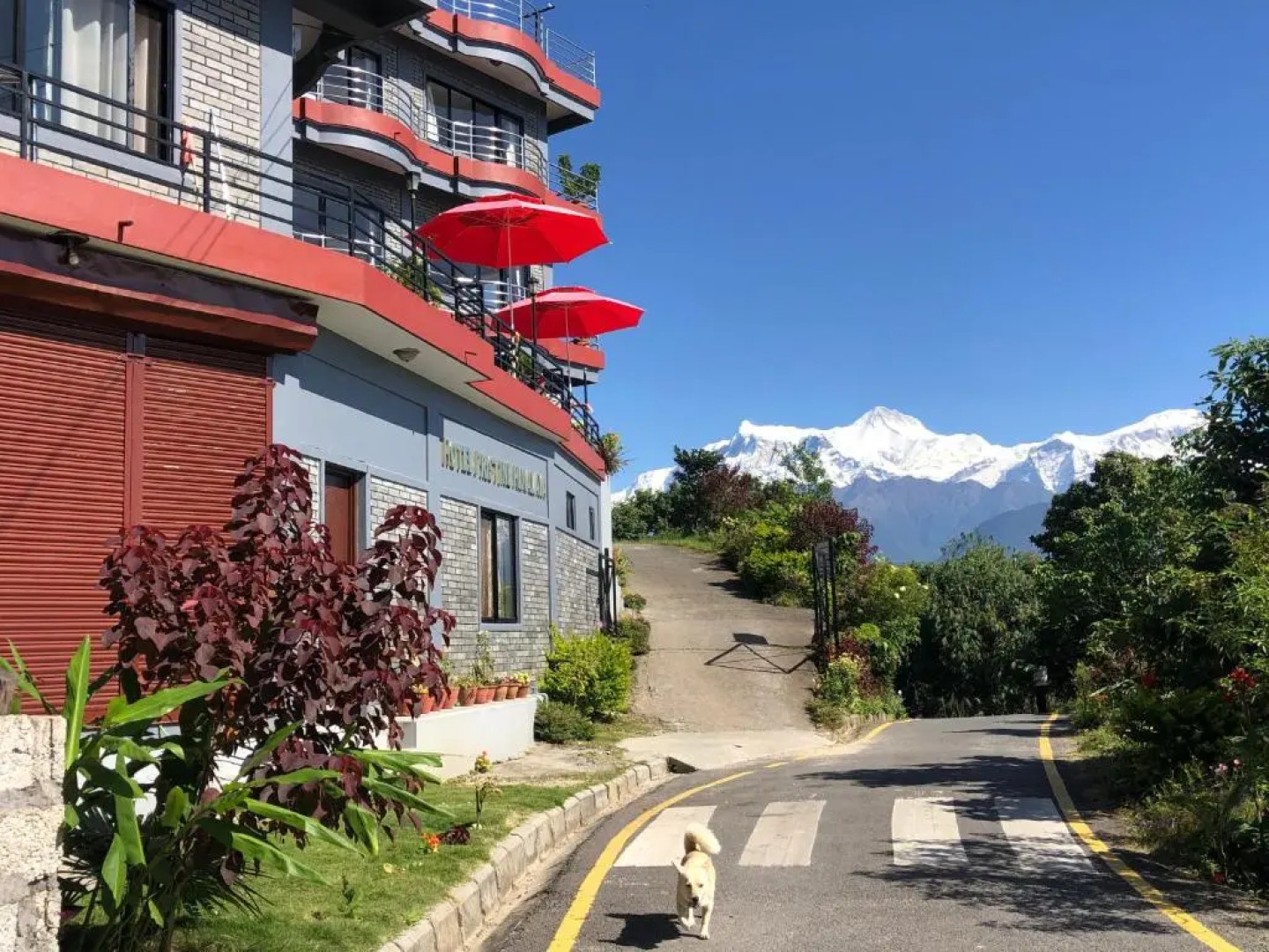 Hotel pristine Himalaya