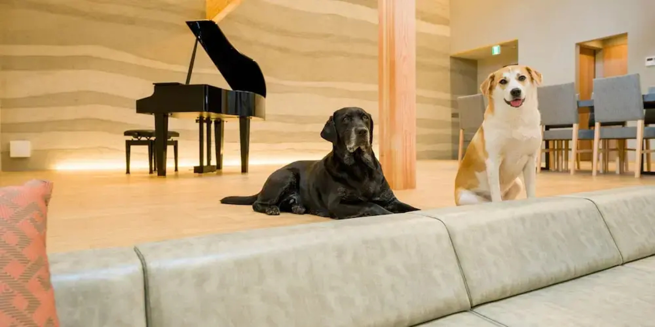 Rakuten STAY VILLA Kamogawa