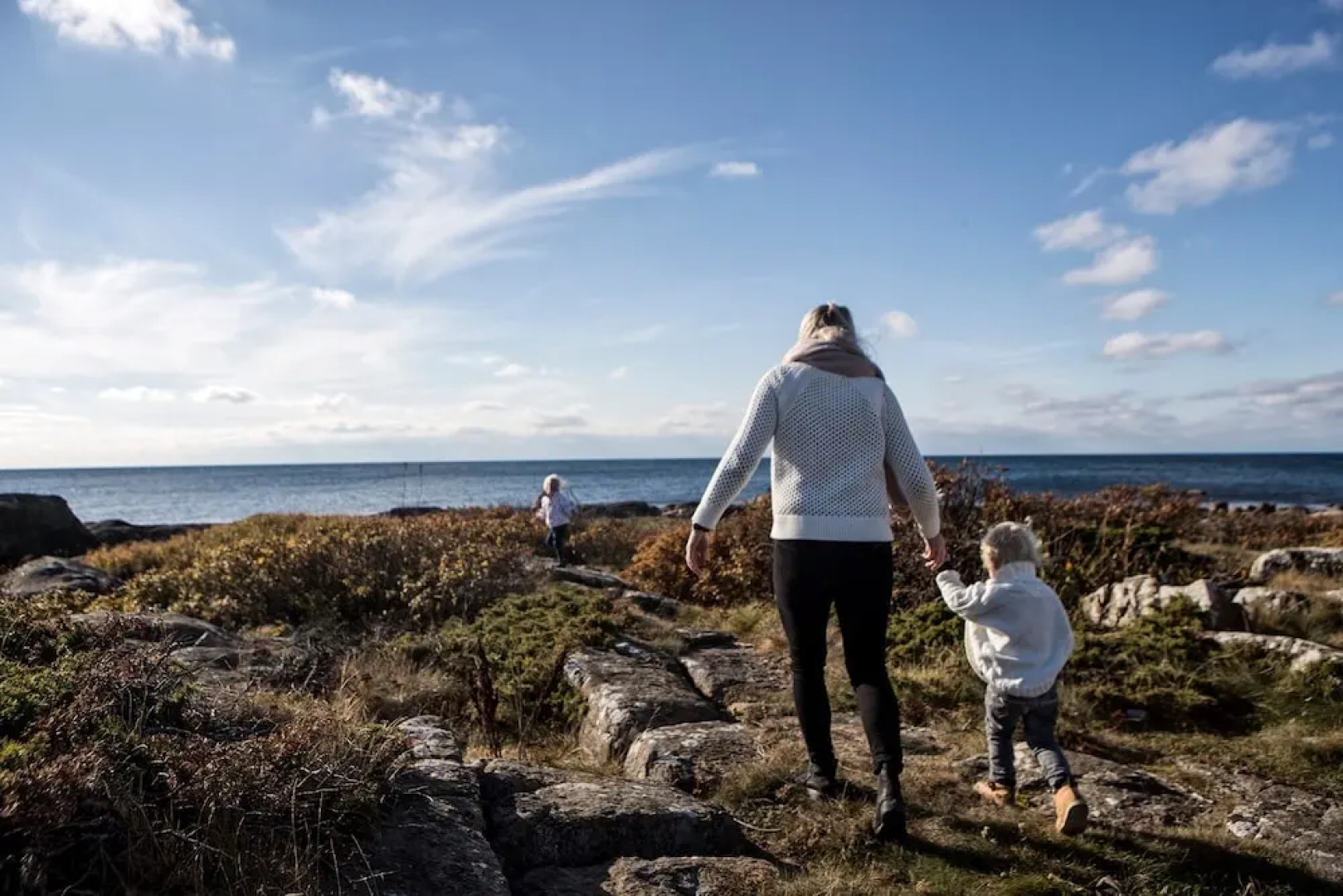 Apelviken Lägenhets Hotell