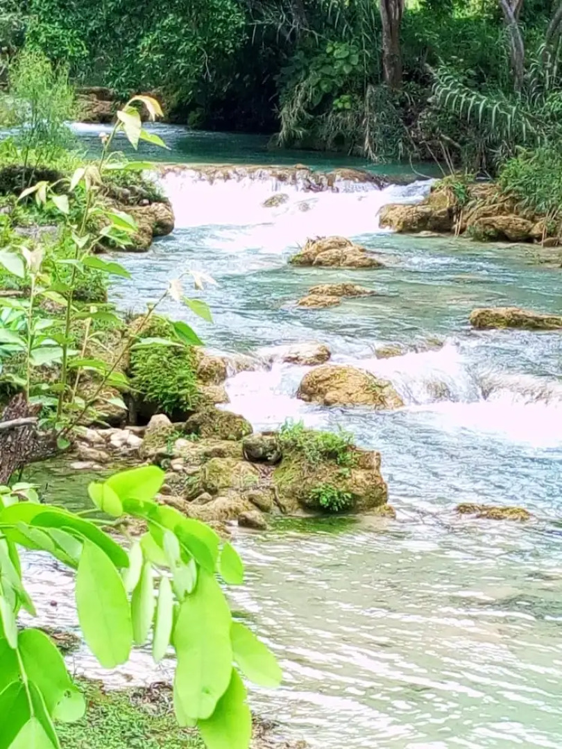 Room in Lodge - Sierraverde Cabin "cabaña el Cedro"