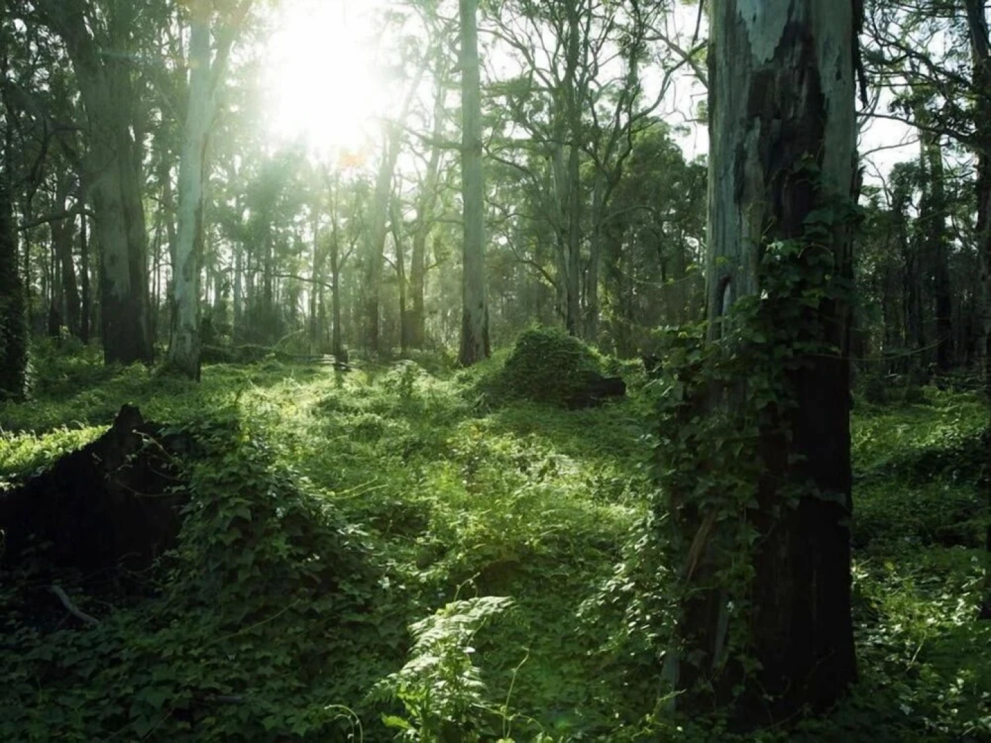 Heritage Trail Lodge Margaret River