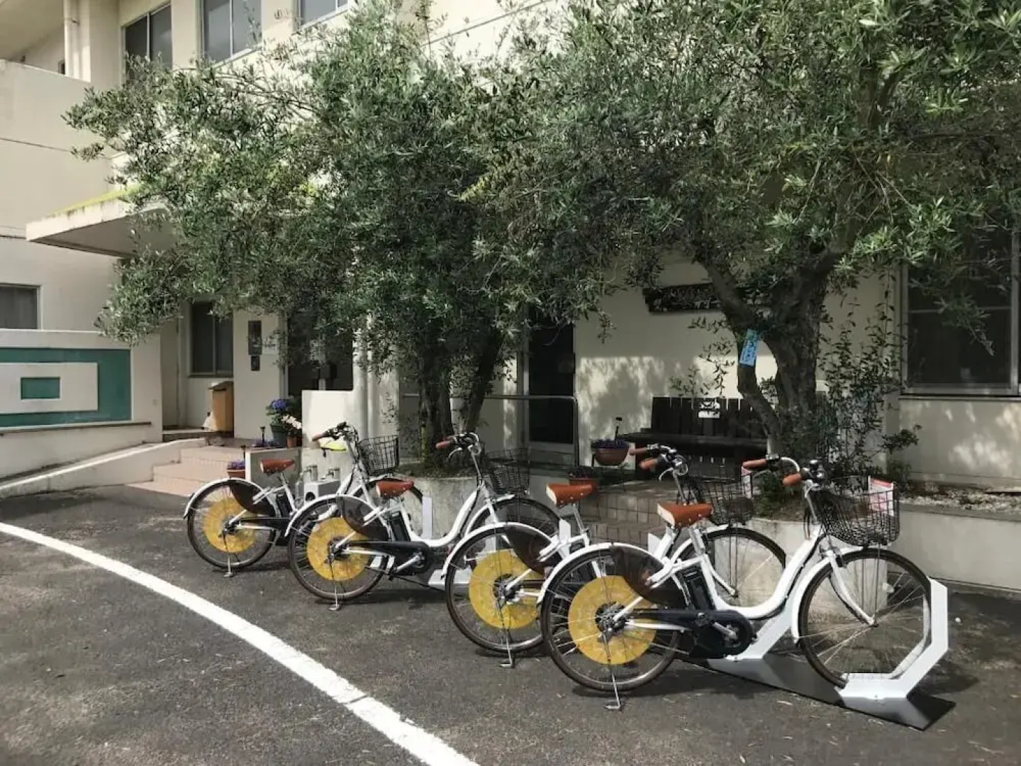 Shodoshima Olive Youth Hostel