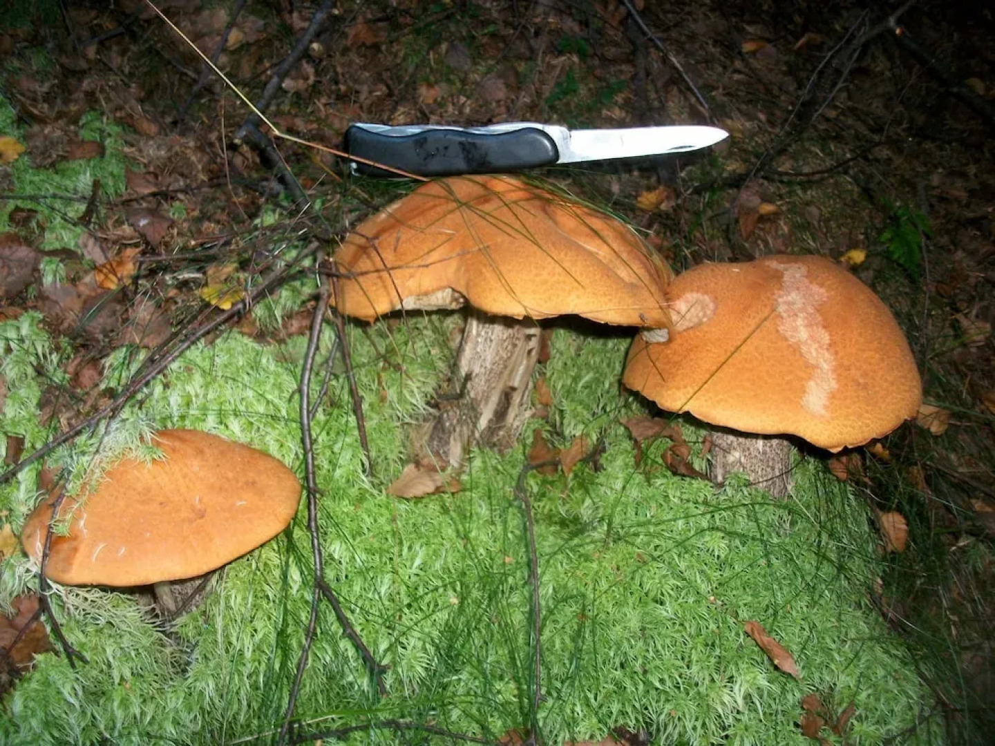 Lovely Ground-floor Apartment With Terrace in Jöhstadt, in the Ore Mountains