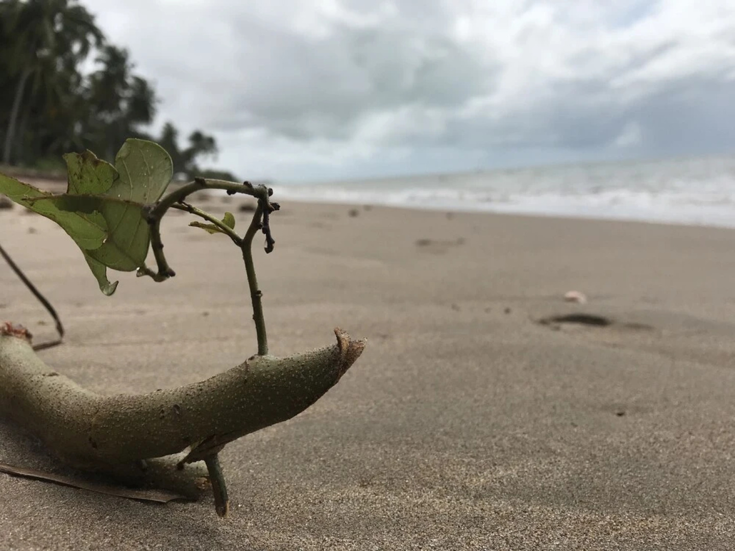 Pousada Studio´S Porto Dos Milagres