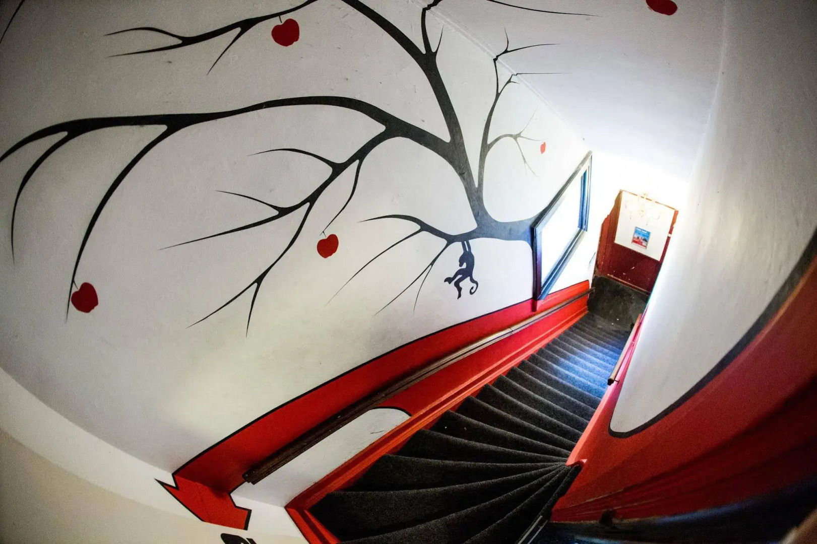 The Flying Pig Downtown Youth Hostel