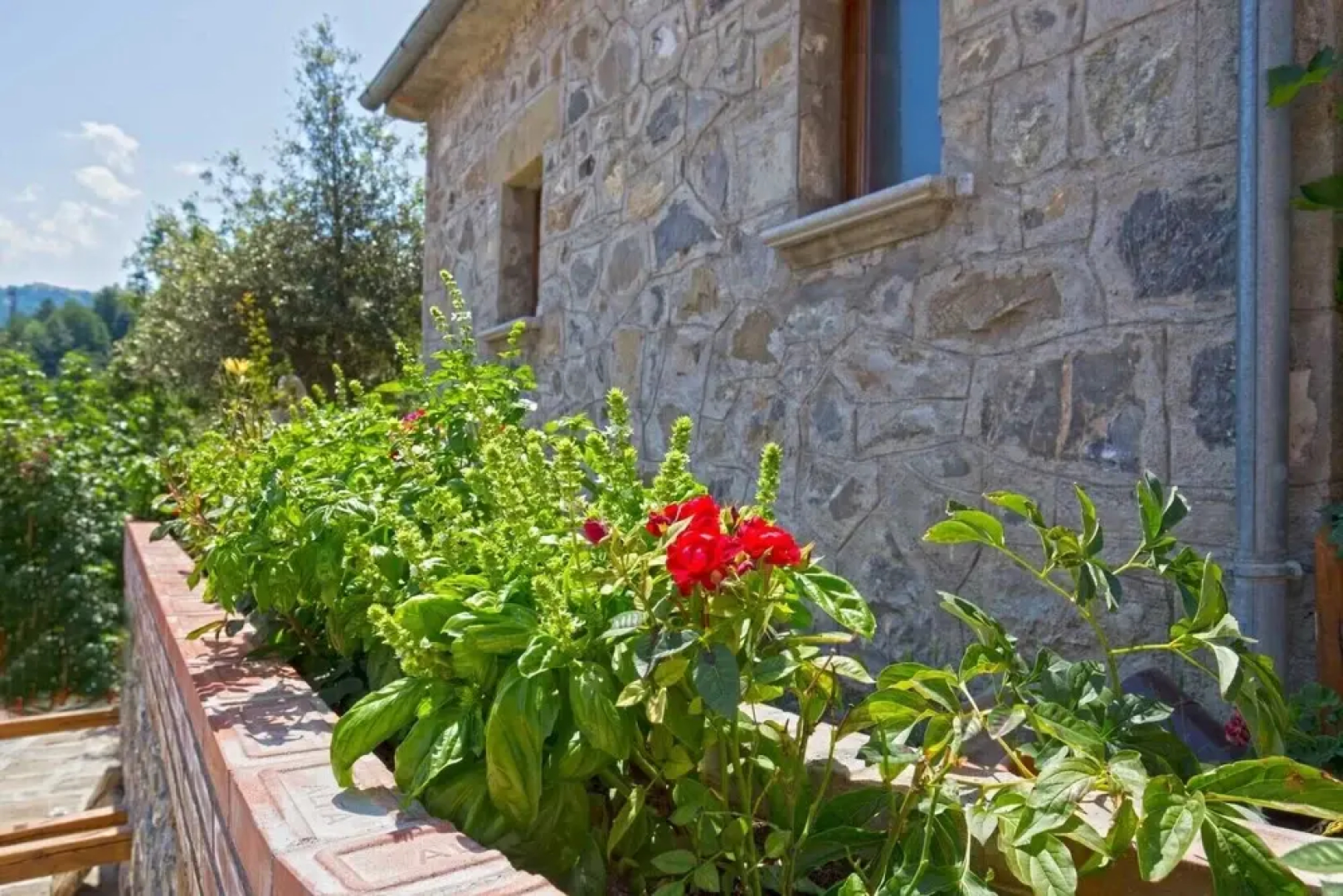 Agriturismo Quercia Antica