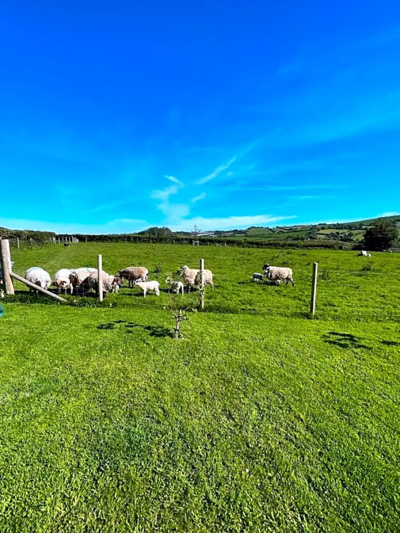 Westerley Country B & B with exclusive Guest lounge