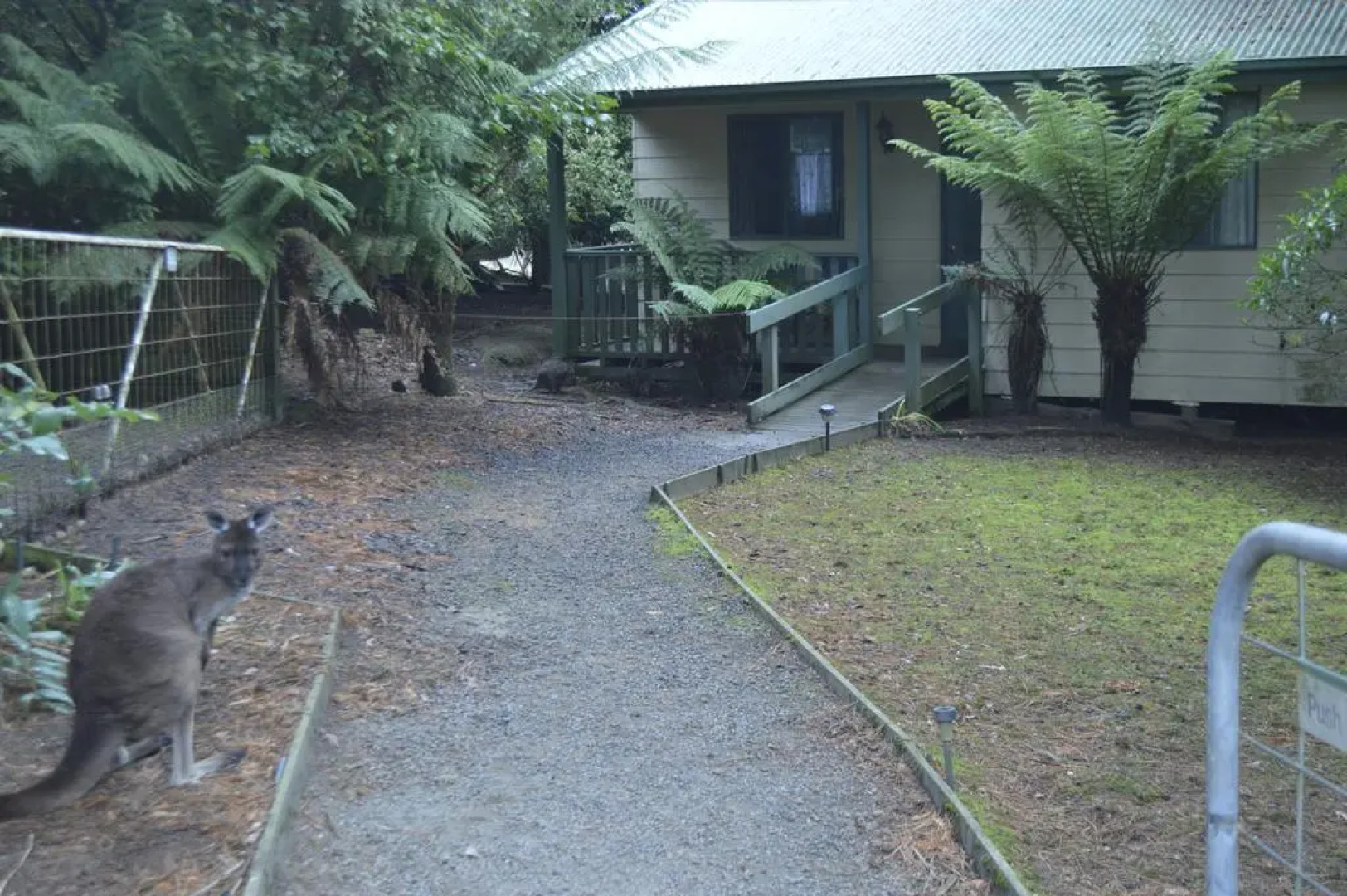 Fauna Australia Wildlife Retreat