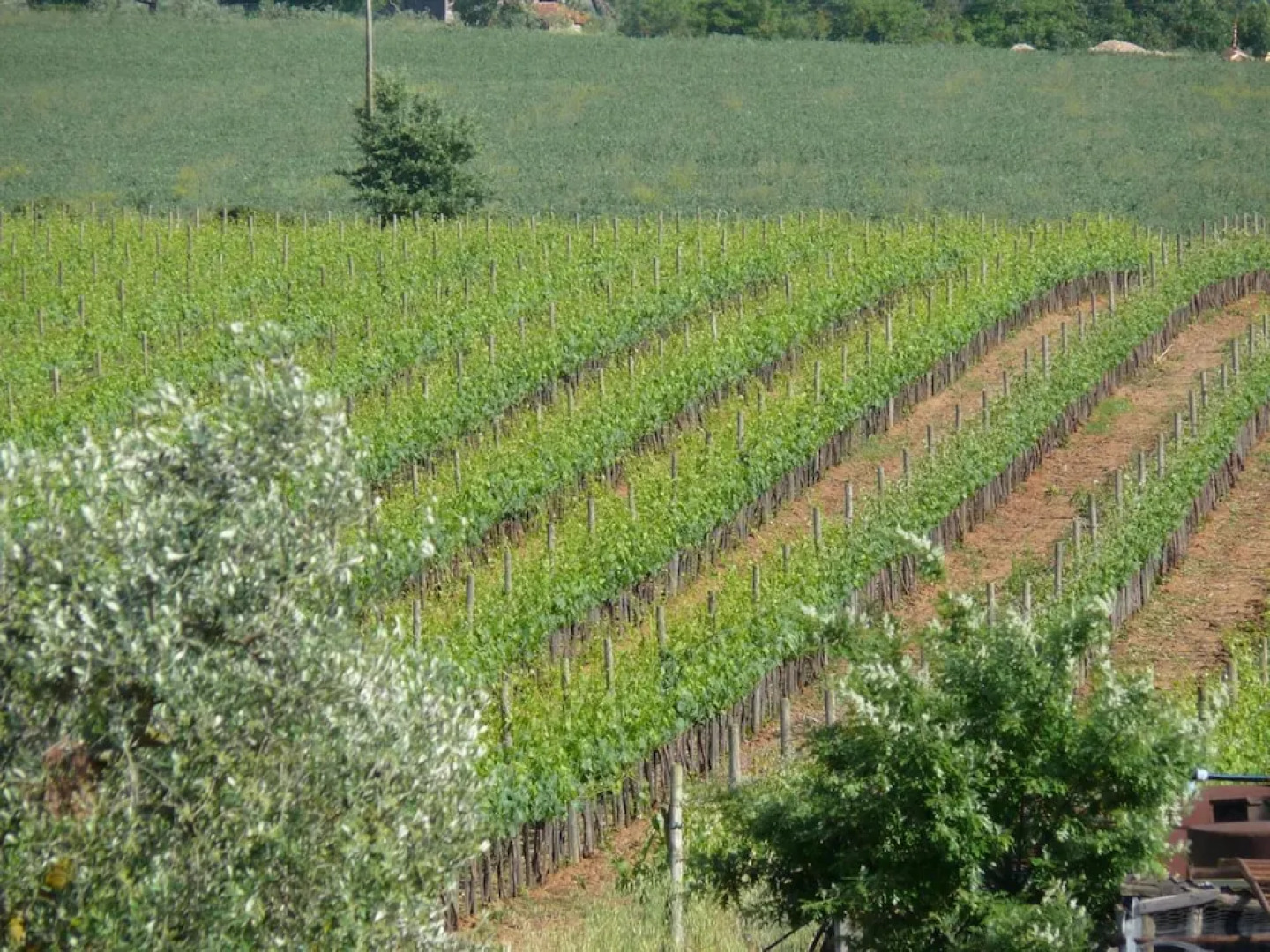 Agriturismo La Quercia