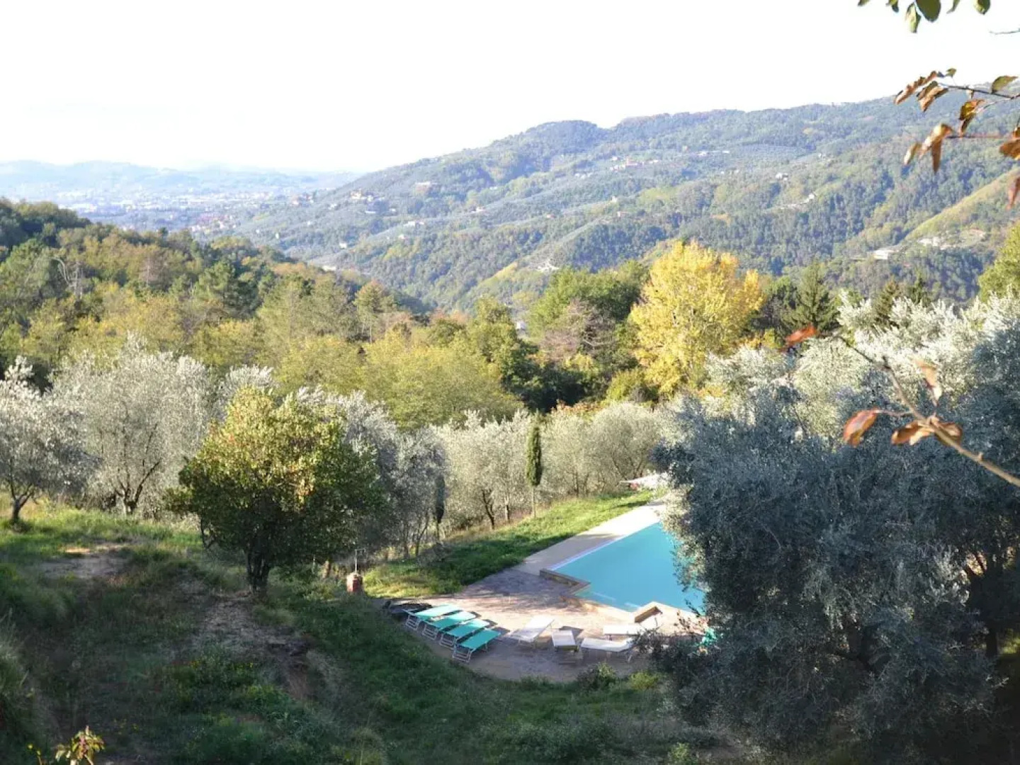 Modern Poolside Home in Pescia