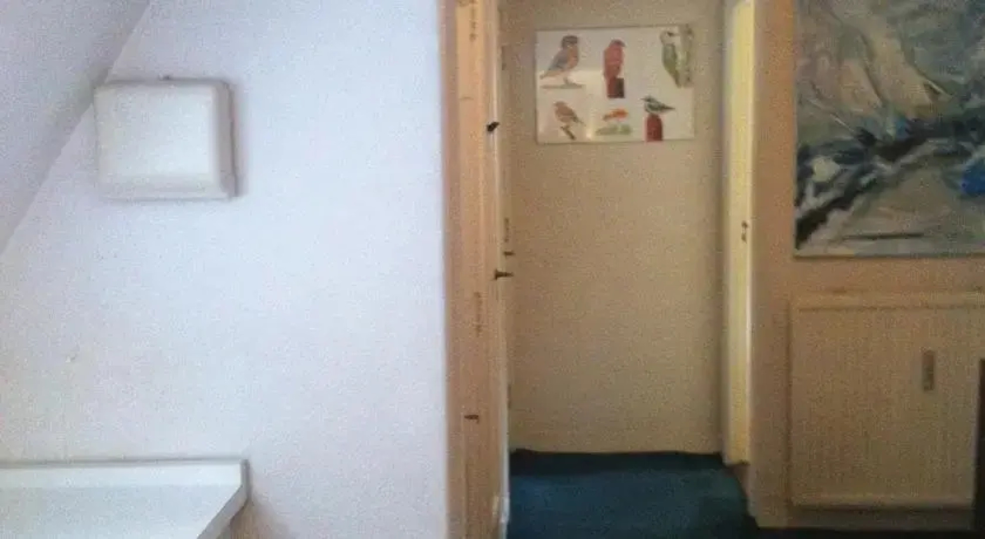 Landgoed Vogelenzang