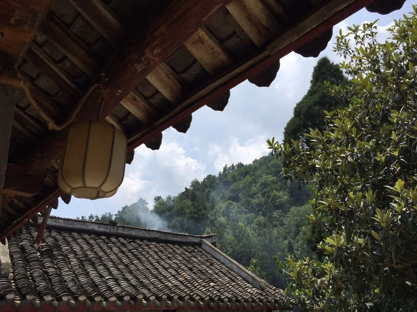 Immortals meeting point