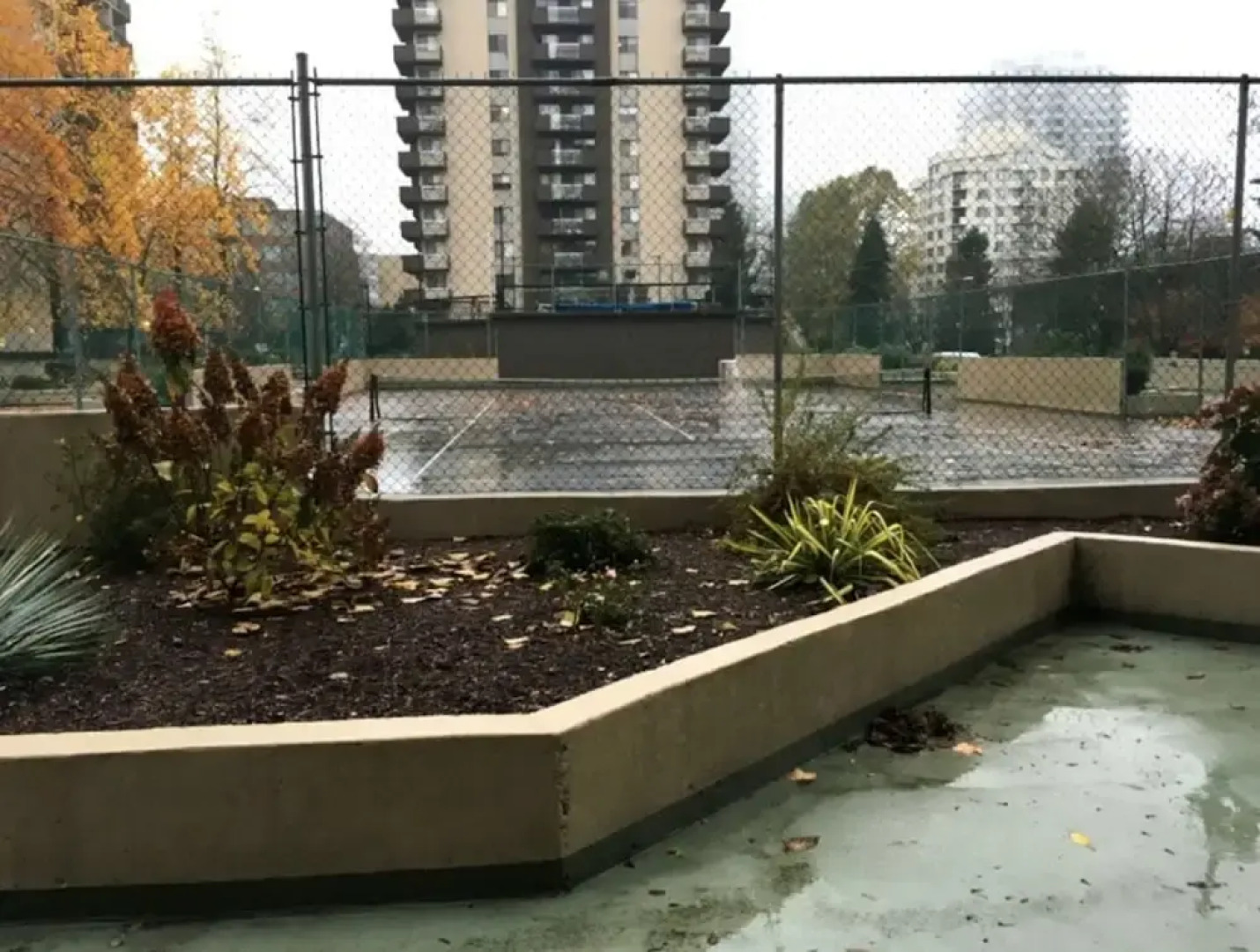 Pelicanstay in Burnaby Lake