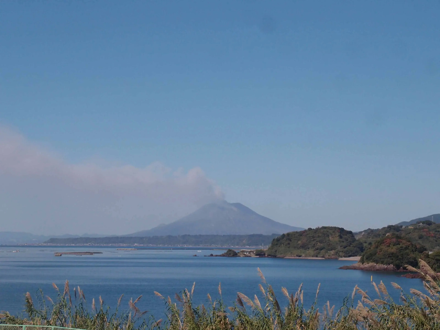 Yukusa Ohsumi Umi no Gakko